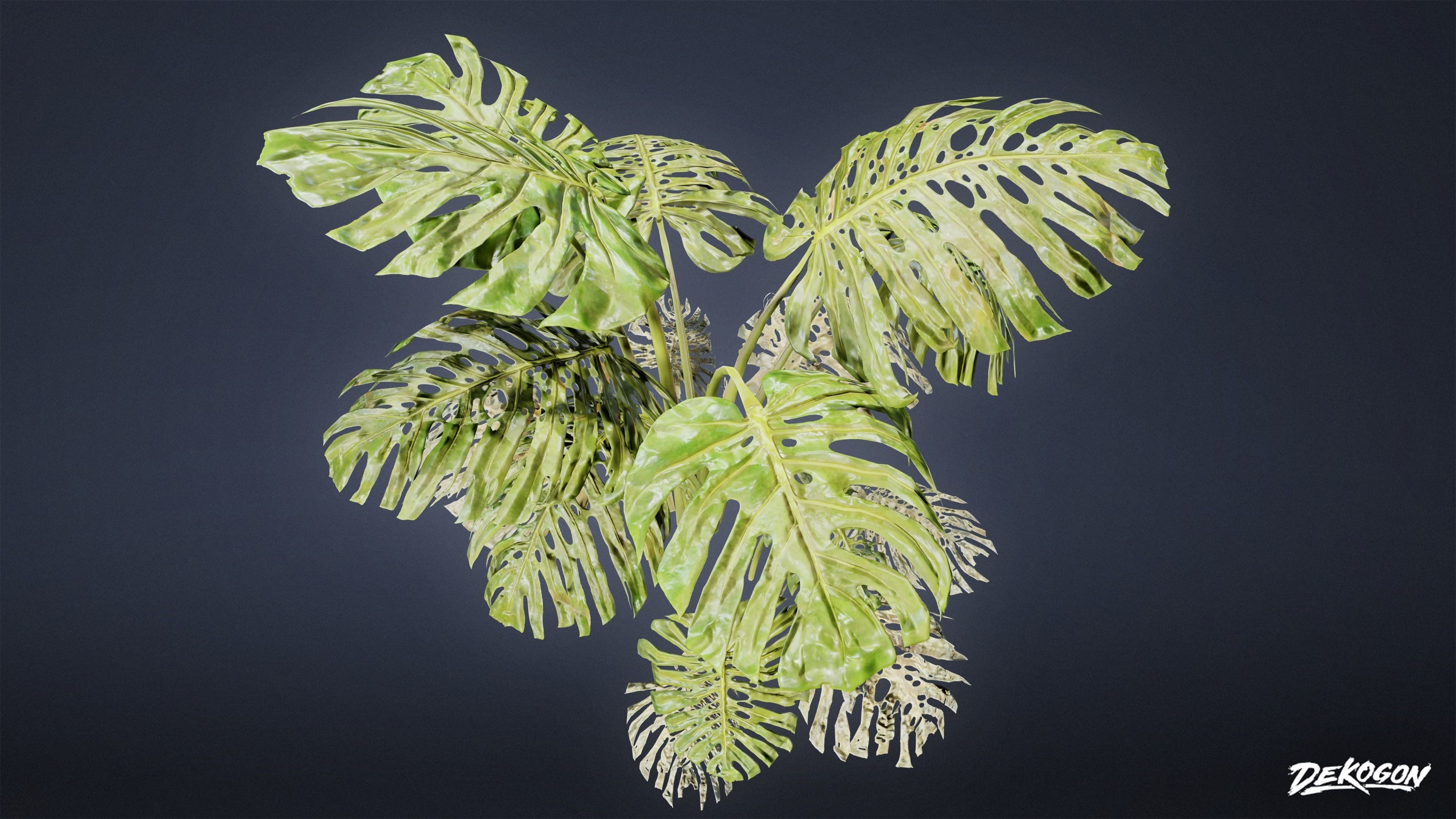 TROPICAL FOLIAGE - Swiss Cheese 01 - LOW POLY Low-poly 3D model_4