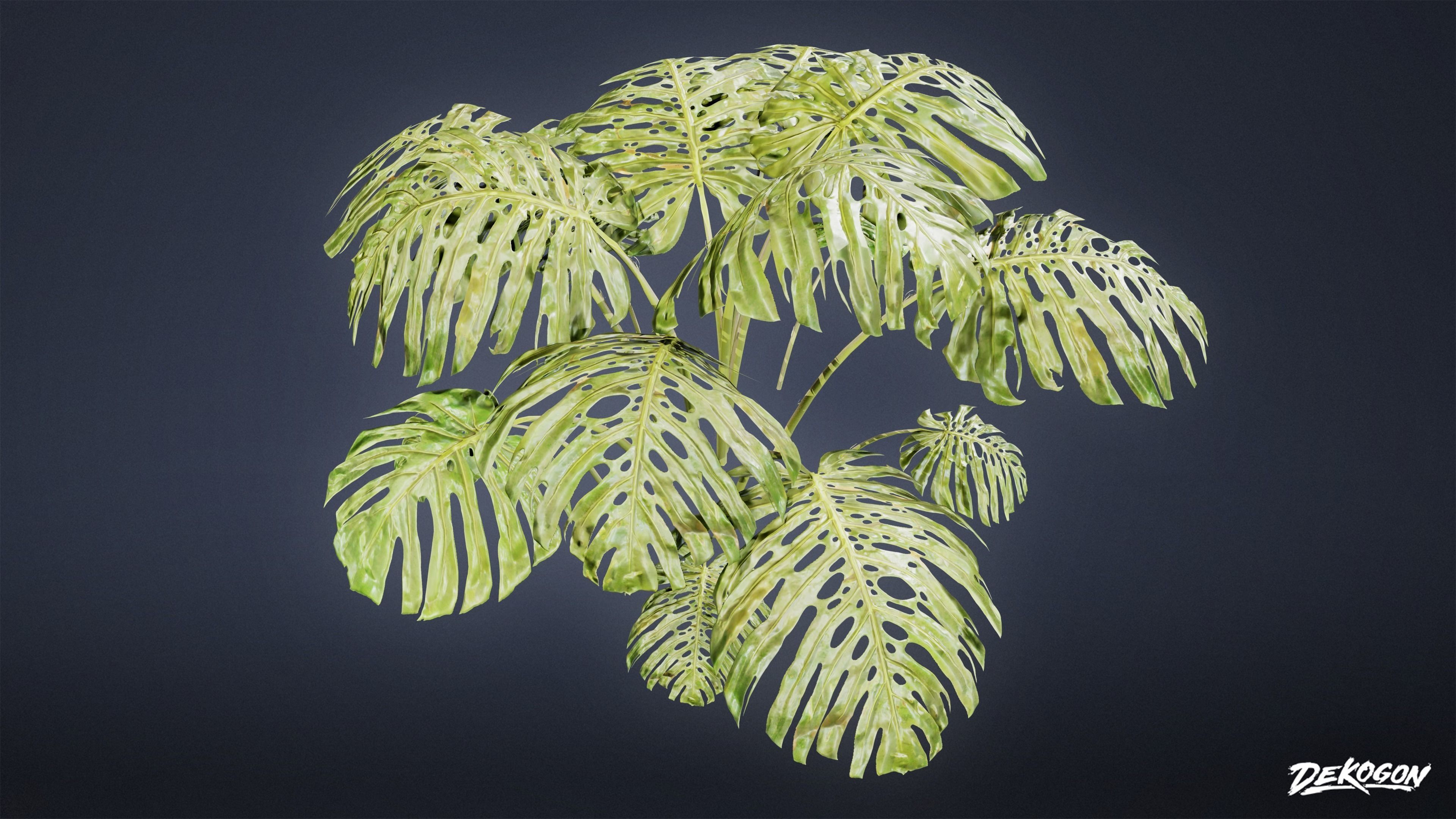 TROPICAL FOLIAGE - Swiss Cheese 01 - LOW POLY Low-poly 3D model_6