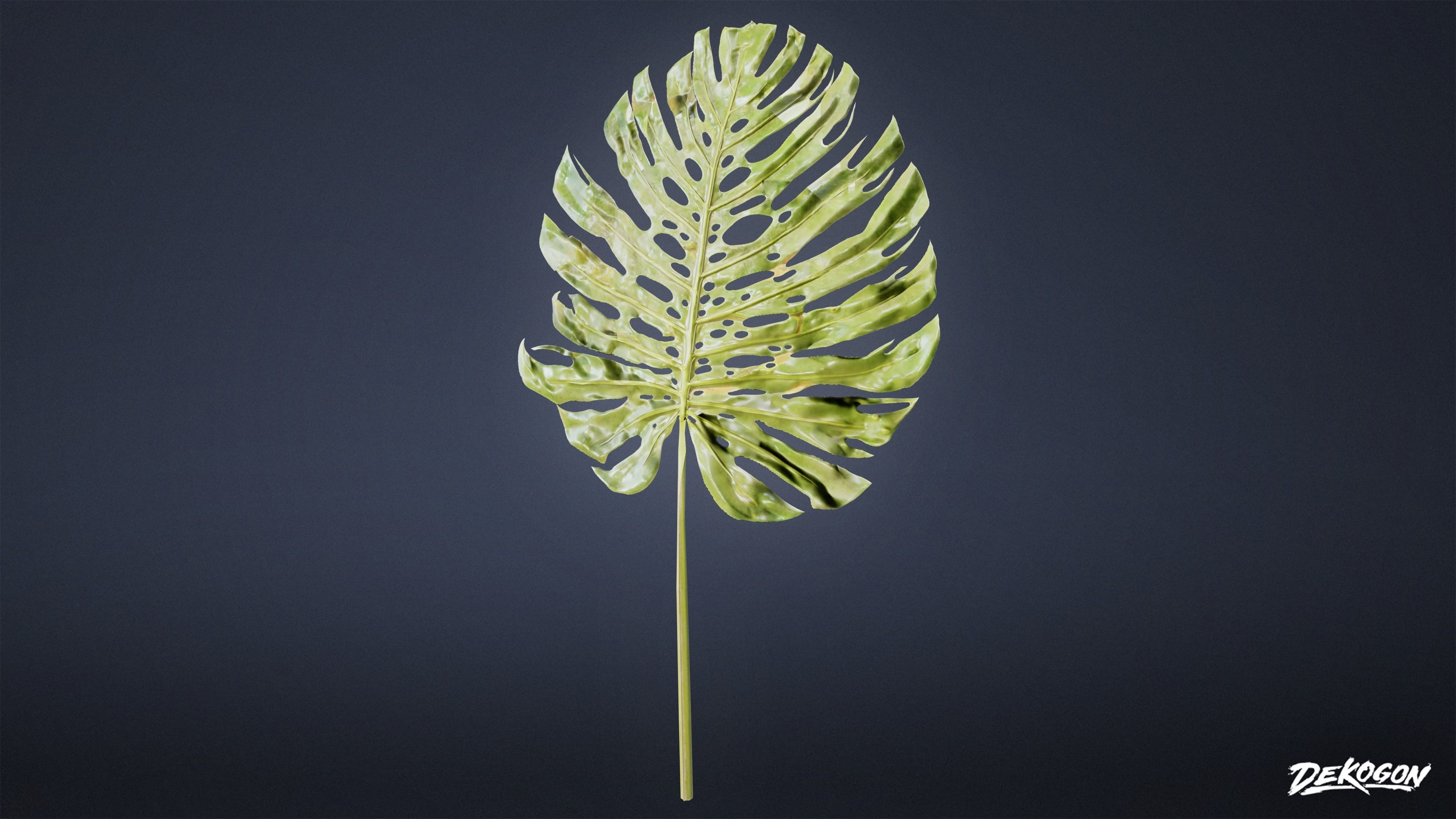 TROPICAL FOLIAGE - Swiss Cheese 01 - LOW POLY Low-poly 3D model_9