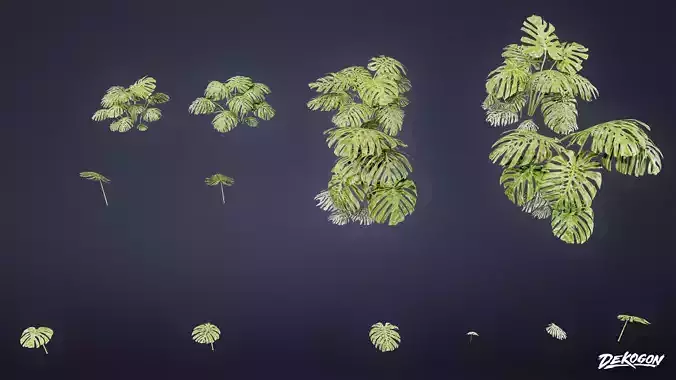 TROPICAL FOLIAGE - Swiss Cheese 01 - LOW POLY