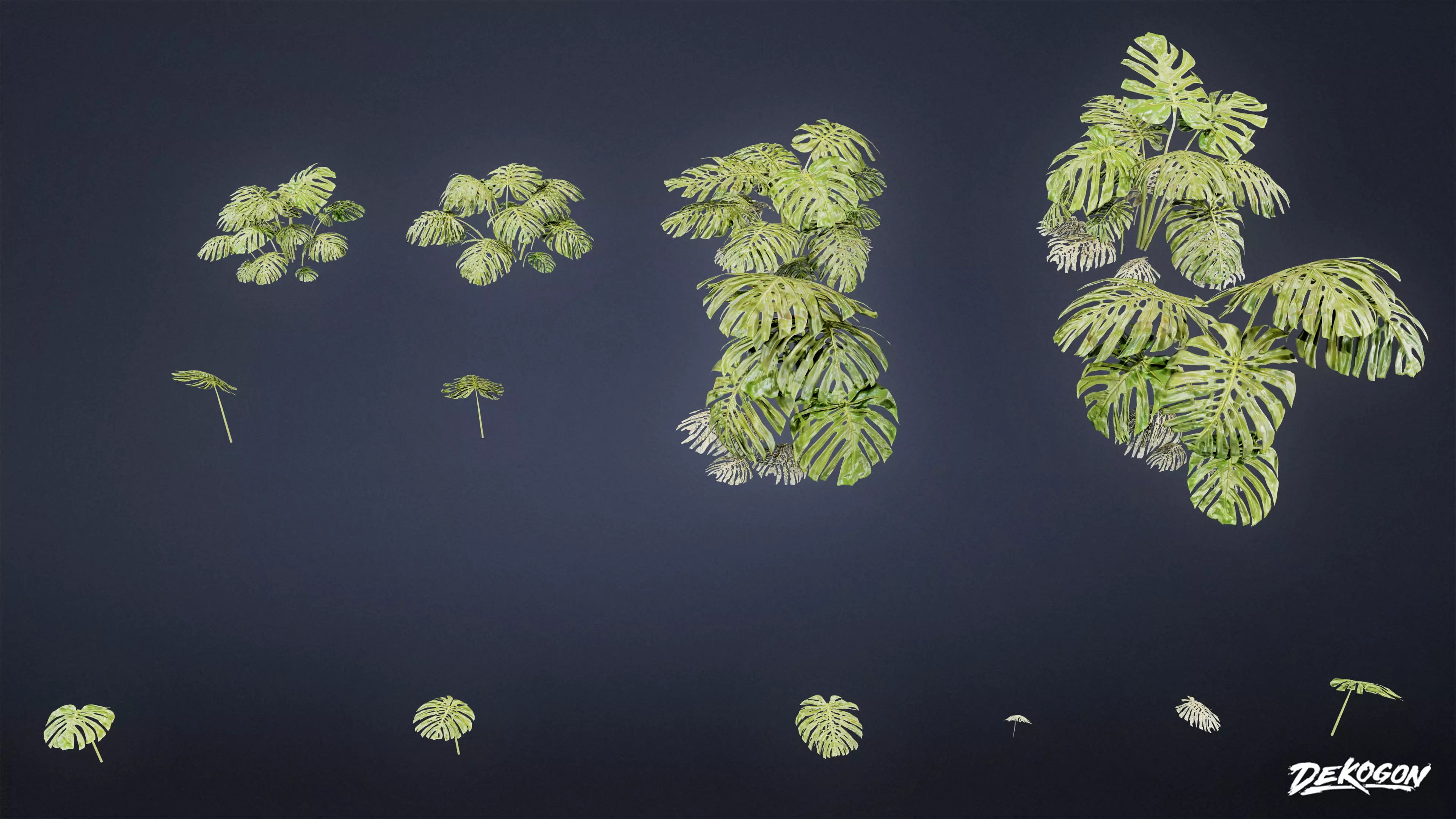 TROPICAL FOLIAGE - Swiss Cheese 01 - LOW POLY Low-poly 3D model_0