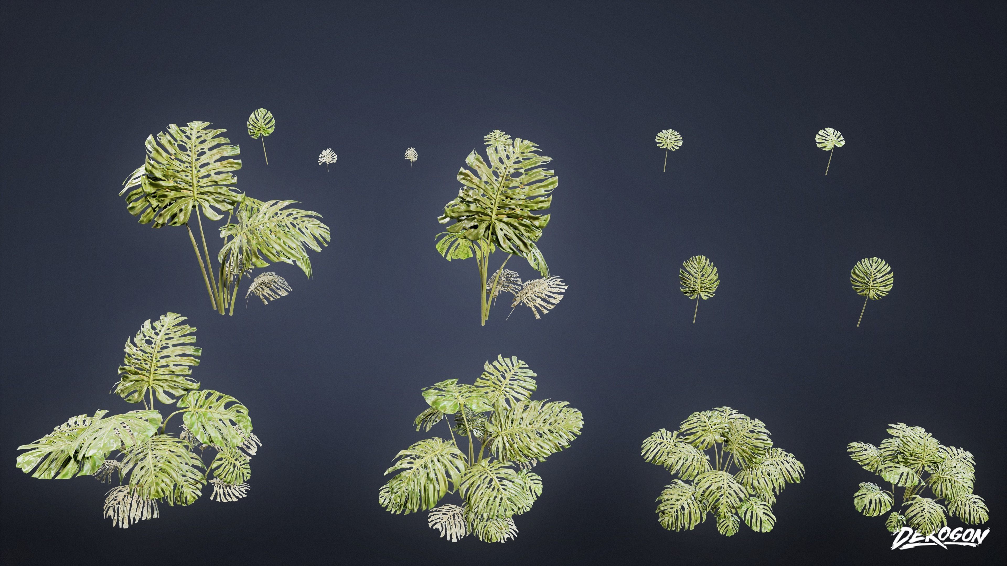 TROPICAL FOLIAGE - Swiss Cheese 01 - LOW POLY Low-poly 3D model_2