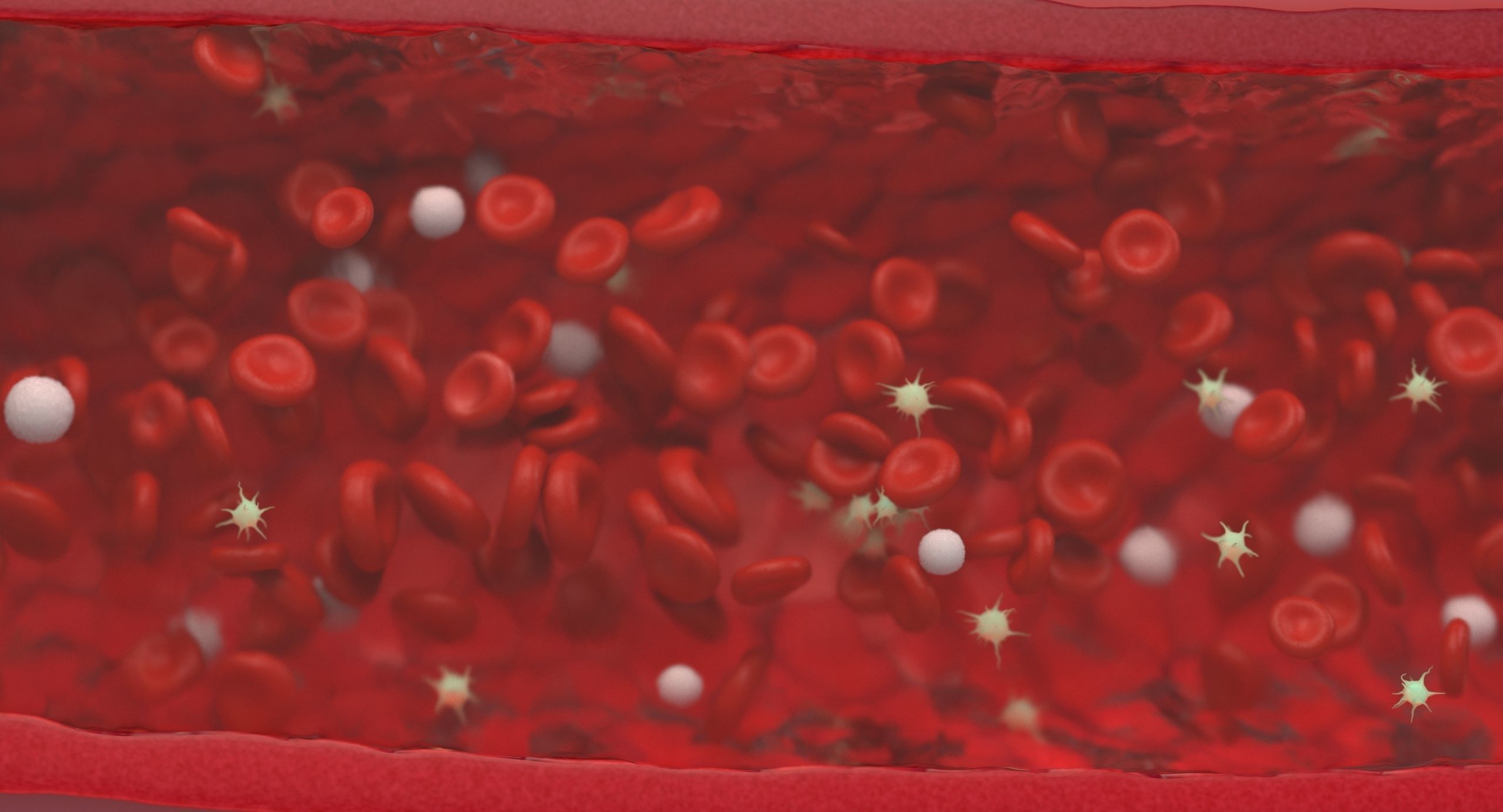 Blood flow Static Low-poly 3D model_16