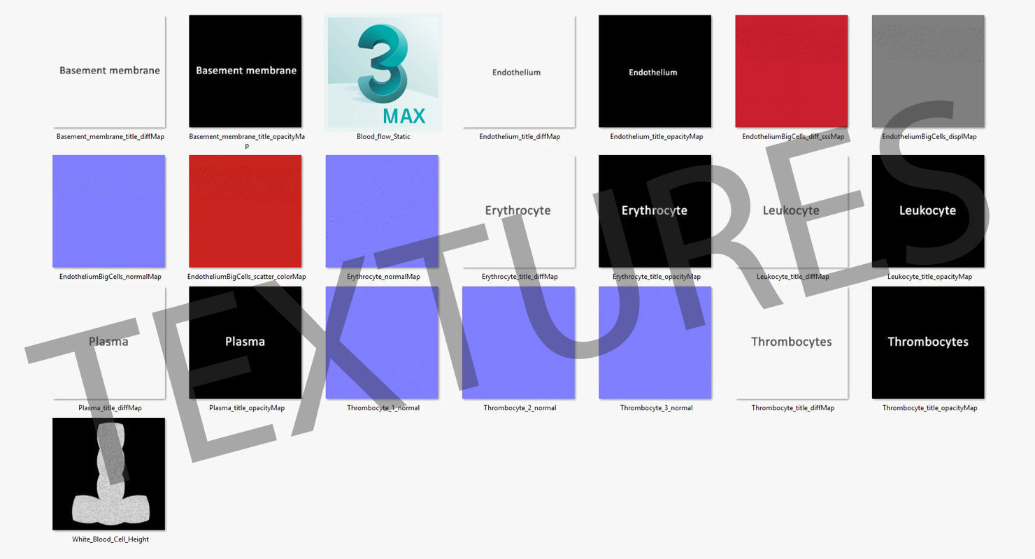 Blood flow Static Low-poly 3D model_37