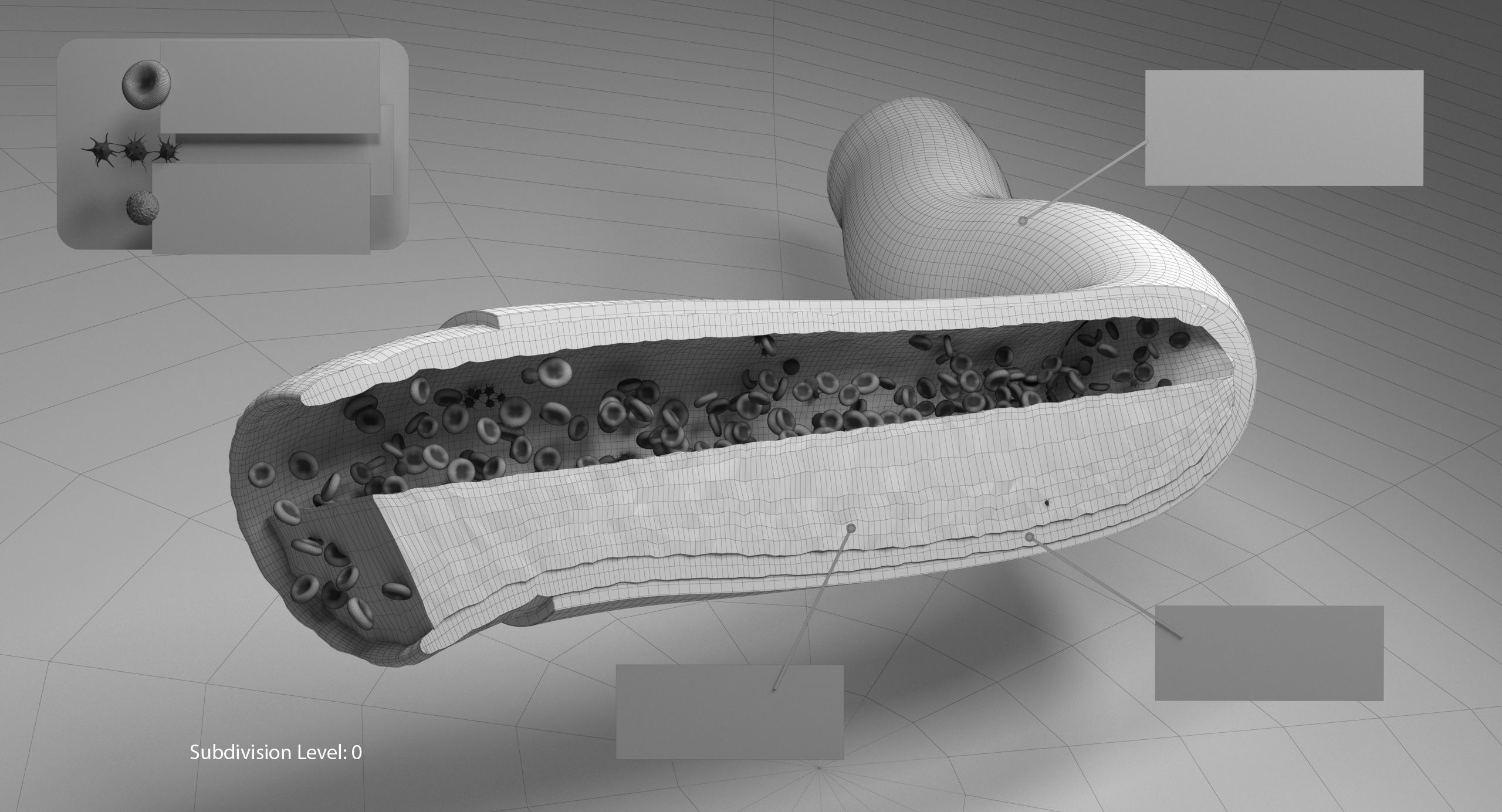 Blood flow Static Low-poly 3D model_22