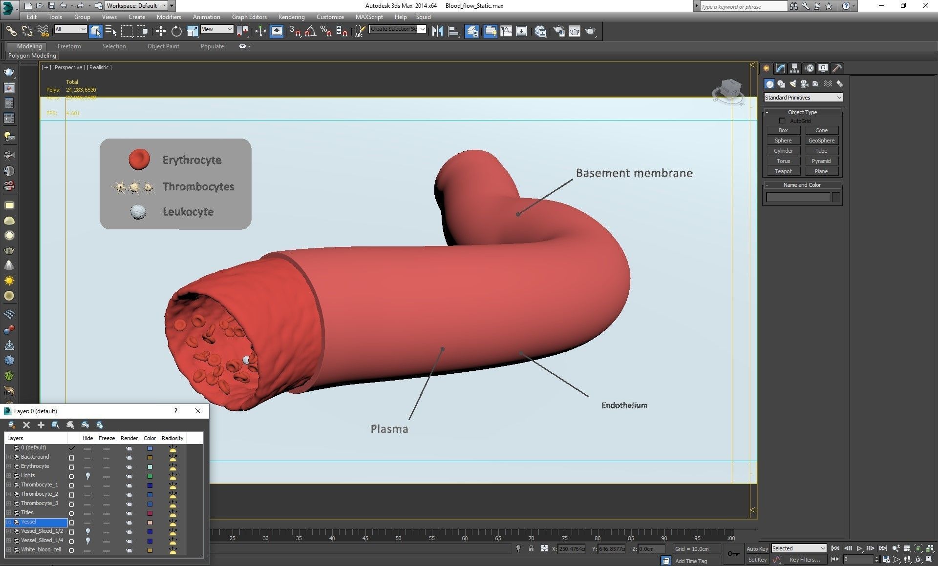 Blood flow Static Low-poly 3D model_32
