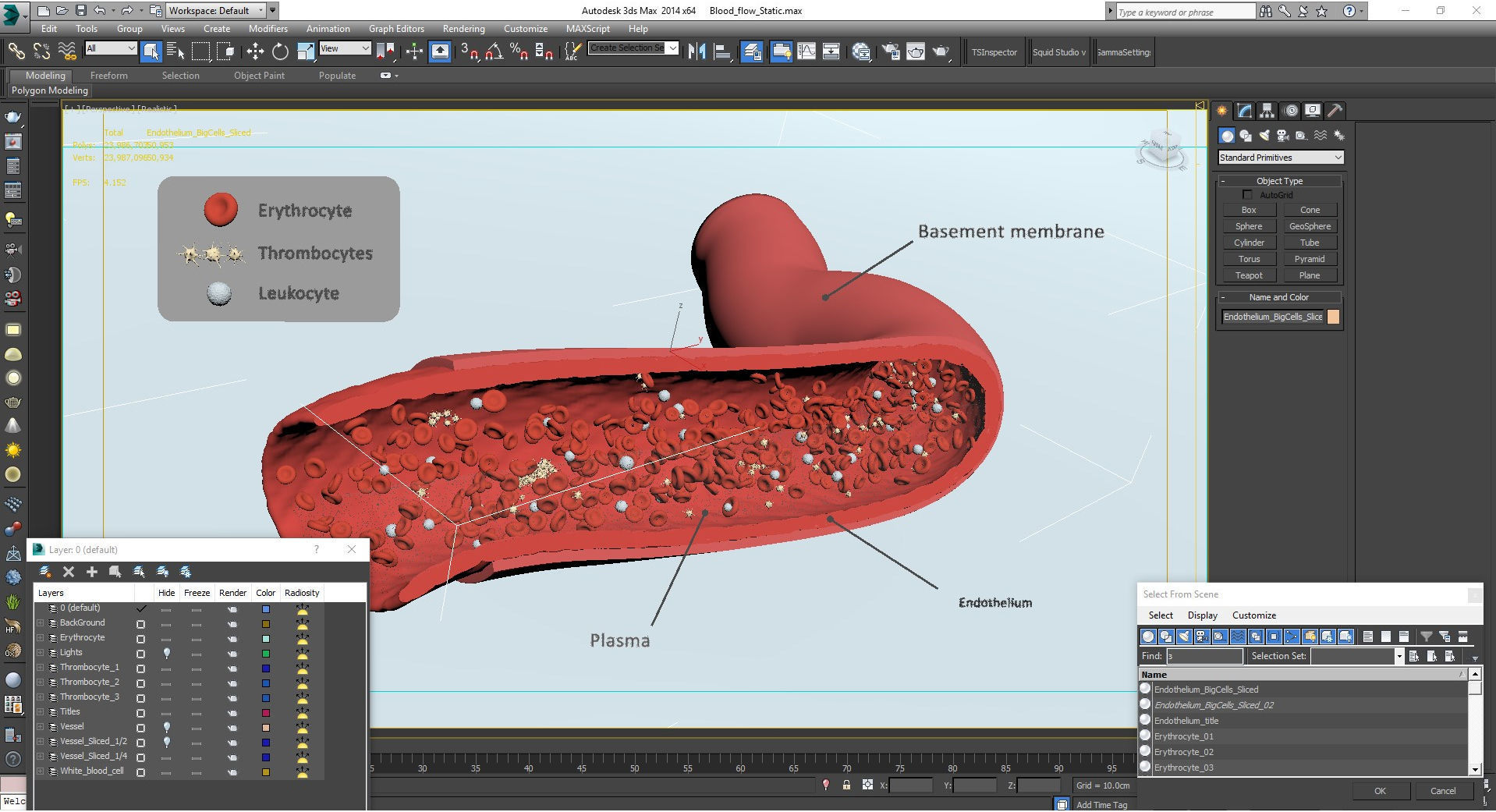 Blood flow Static Low-poly 3D model_30