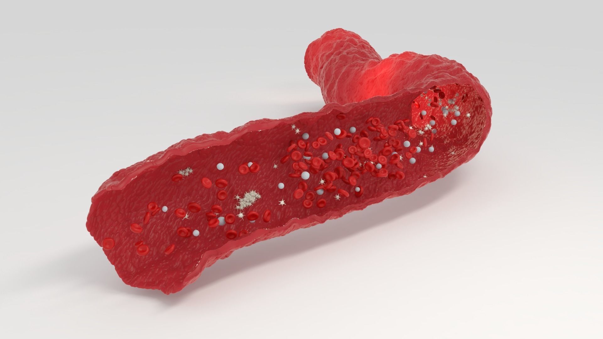 Blood flow Static Low-poly 3D model_3