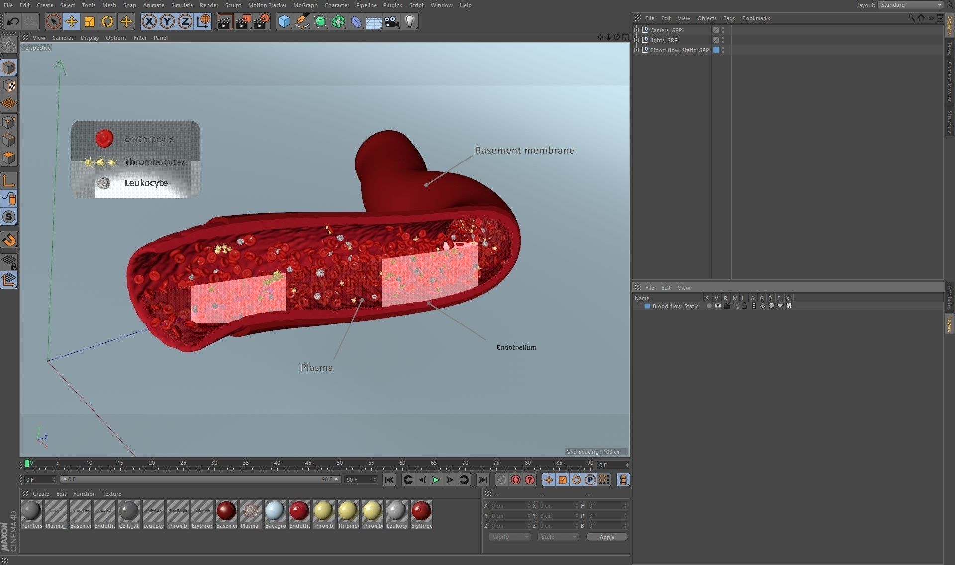 Blood flow Static Low-poly 3D model_35