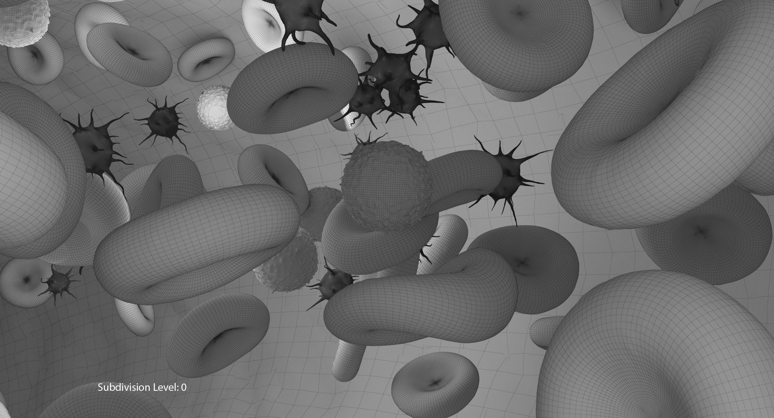 Blood flow Static Low-poly 3D model_23