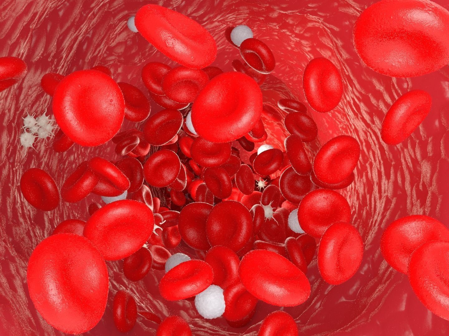 Blood flow Static Low-poly 3D model_15