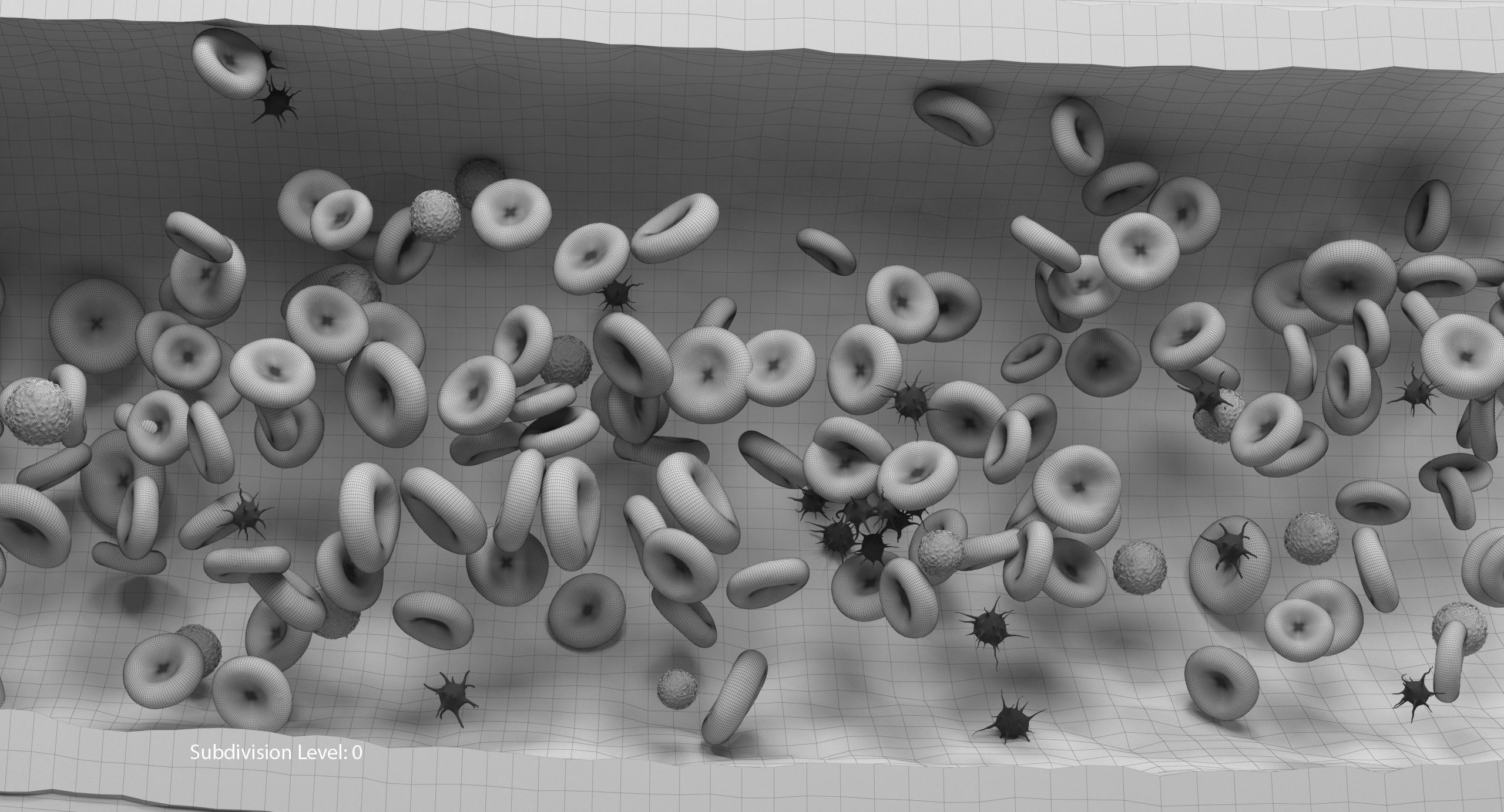 Blood flow Static Low-poly 3D model_27