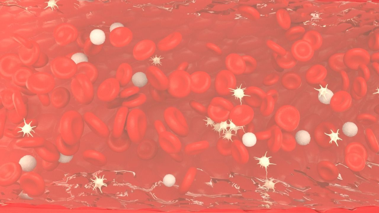 Blood flow Static Low-poly 3D model_17