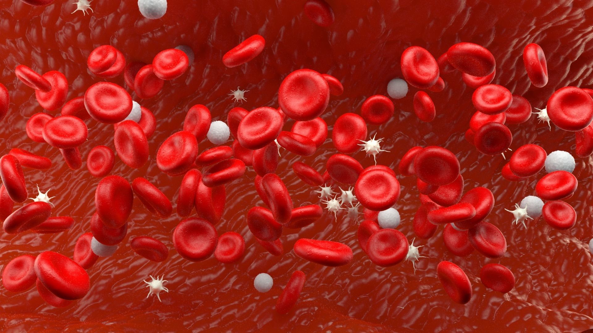 Blood flow Static Low-poly 3D model_18