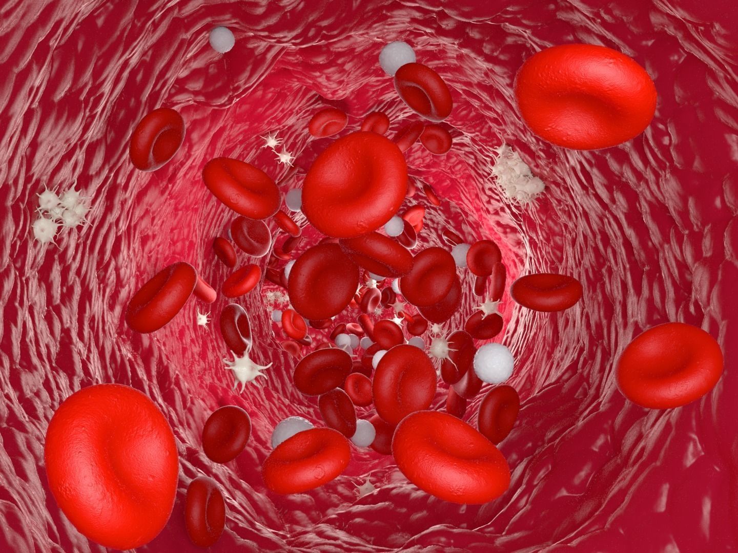 Blood flow Static Low-poly 3D model_12