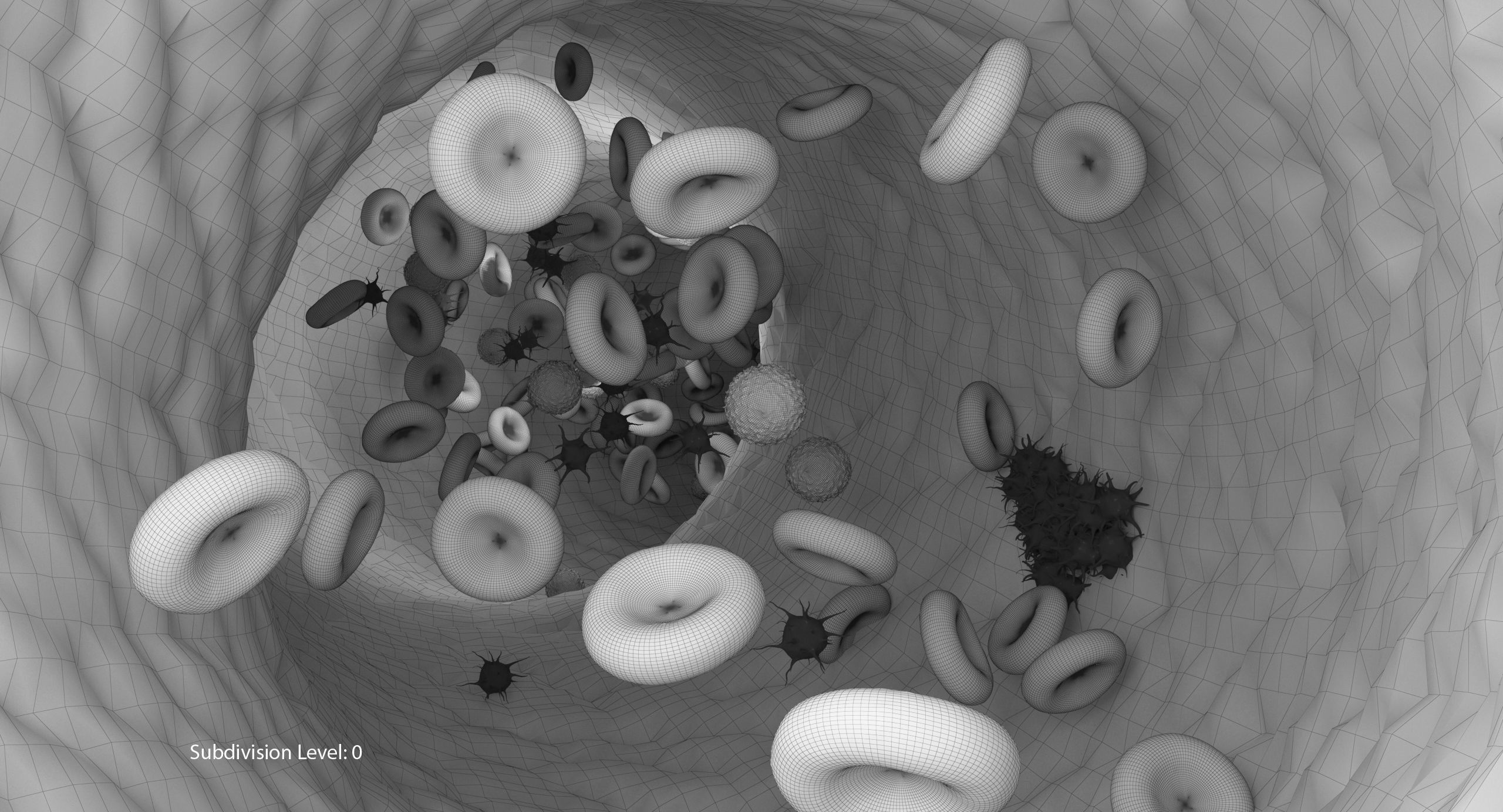 Blood flow Static Low-poly 3D model_25