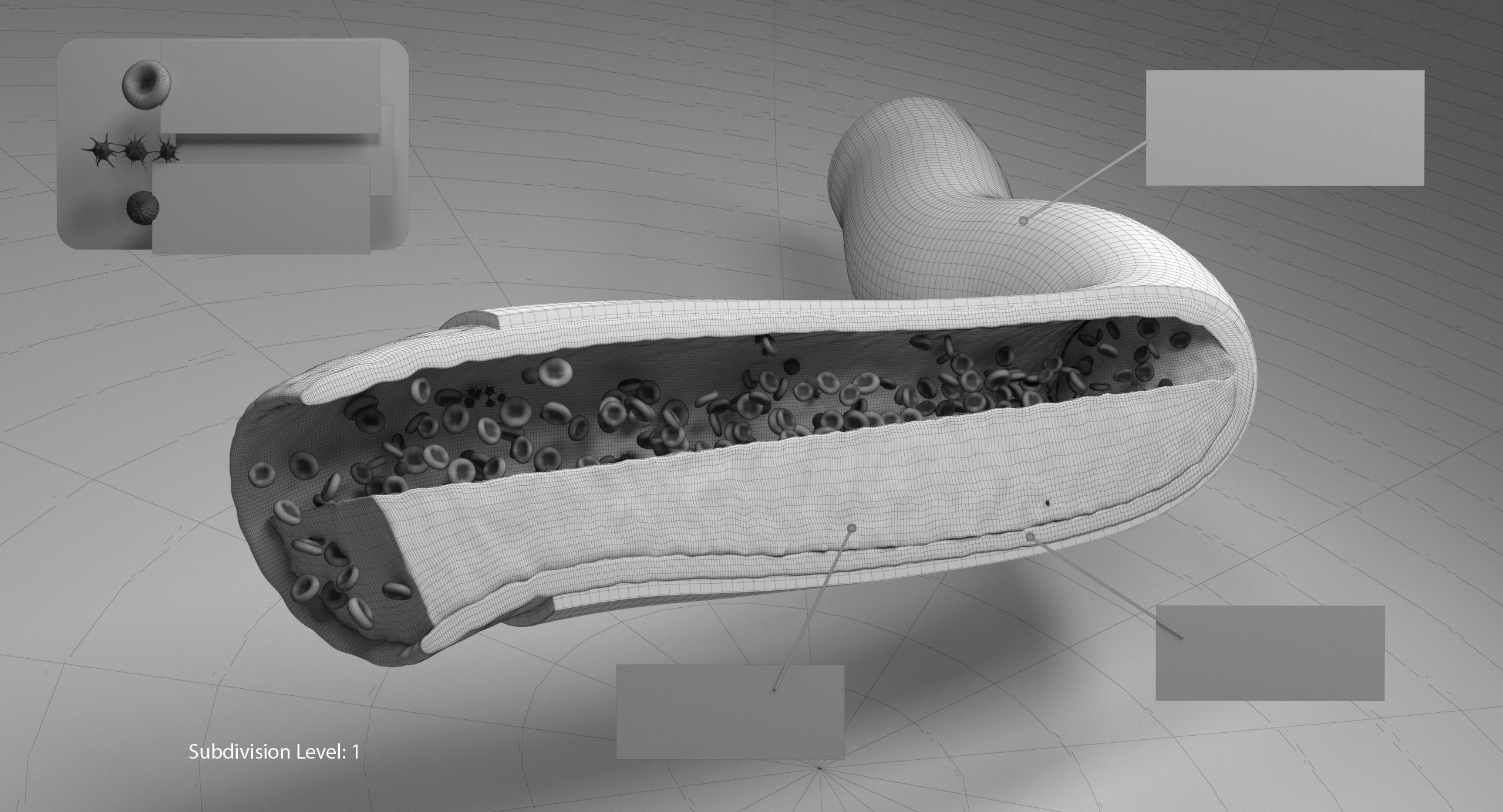 Blood flow Static Low-poly 3D model_21