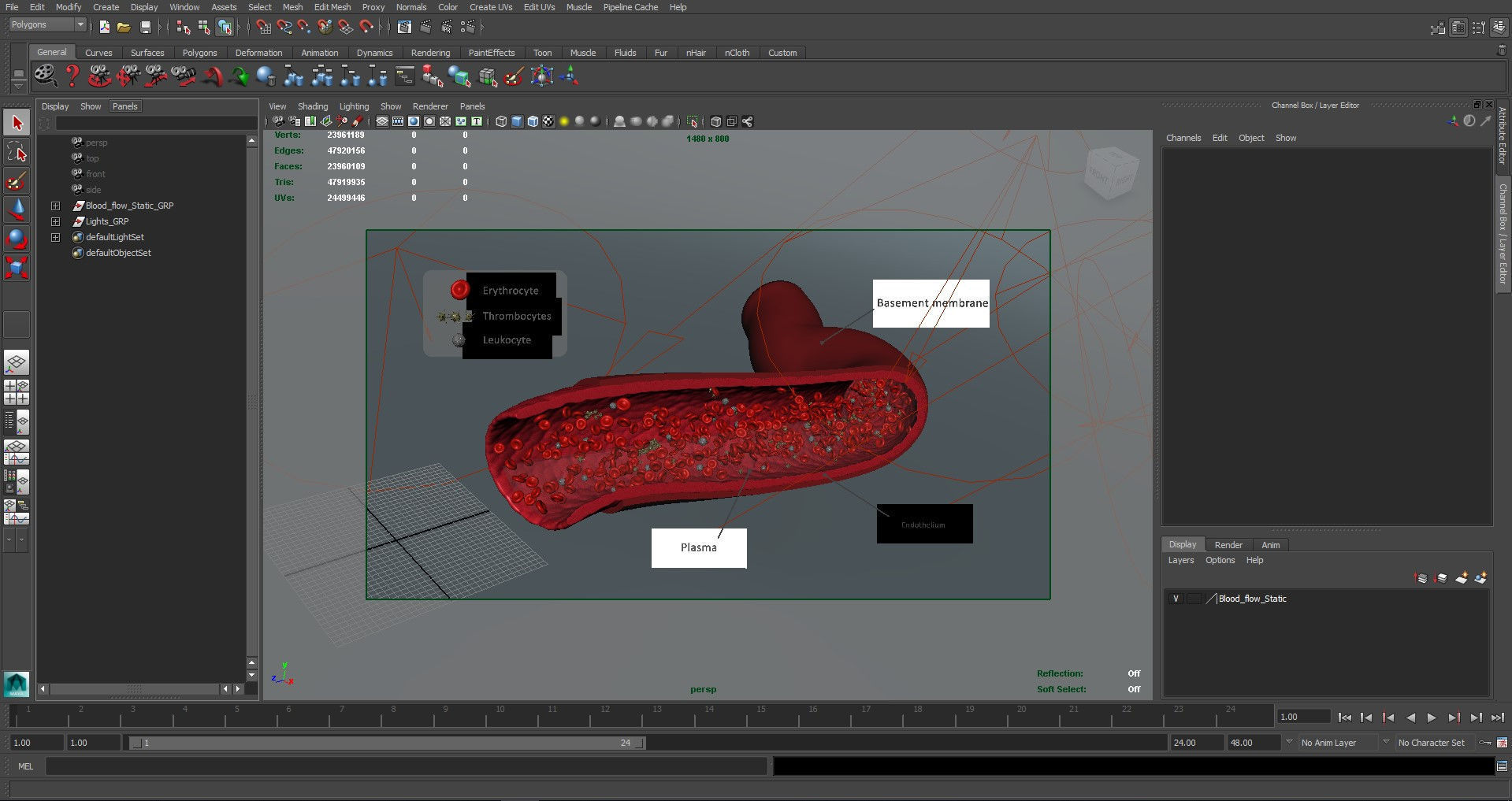 Blood flow Static Low-poly 3D model_34