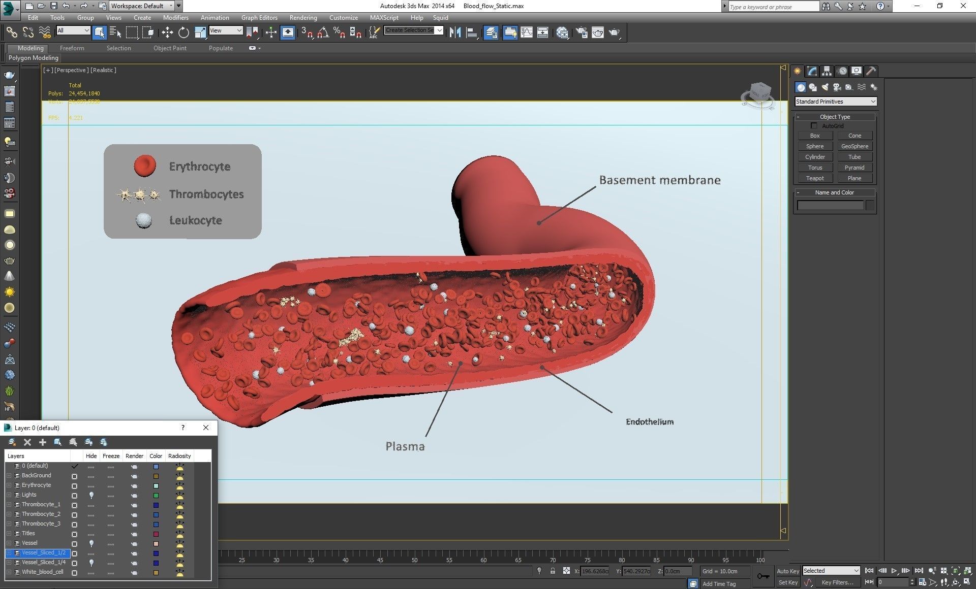 Blood flow Static Low-poly 3D model_31