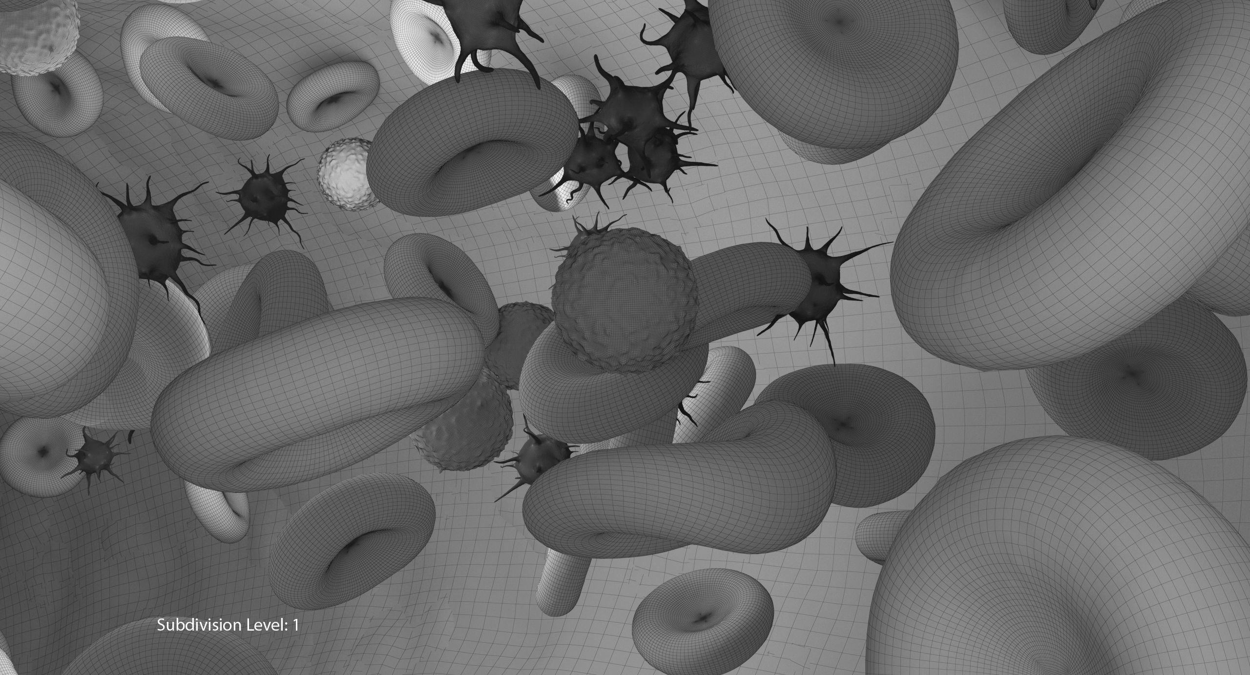 Blood flow Static Low-poly 3D model_24