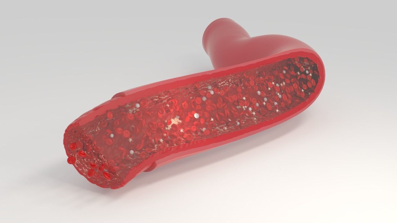 Blood flow Static Low-poly 3D model_5