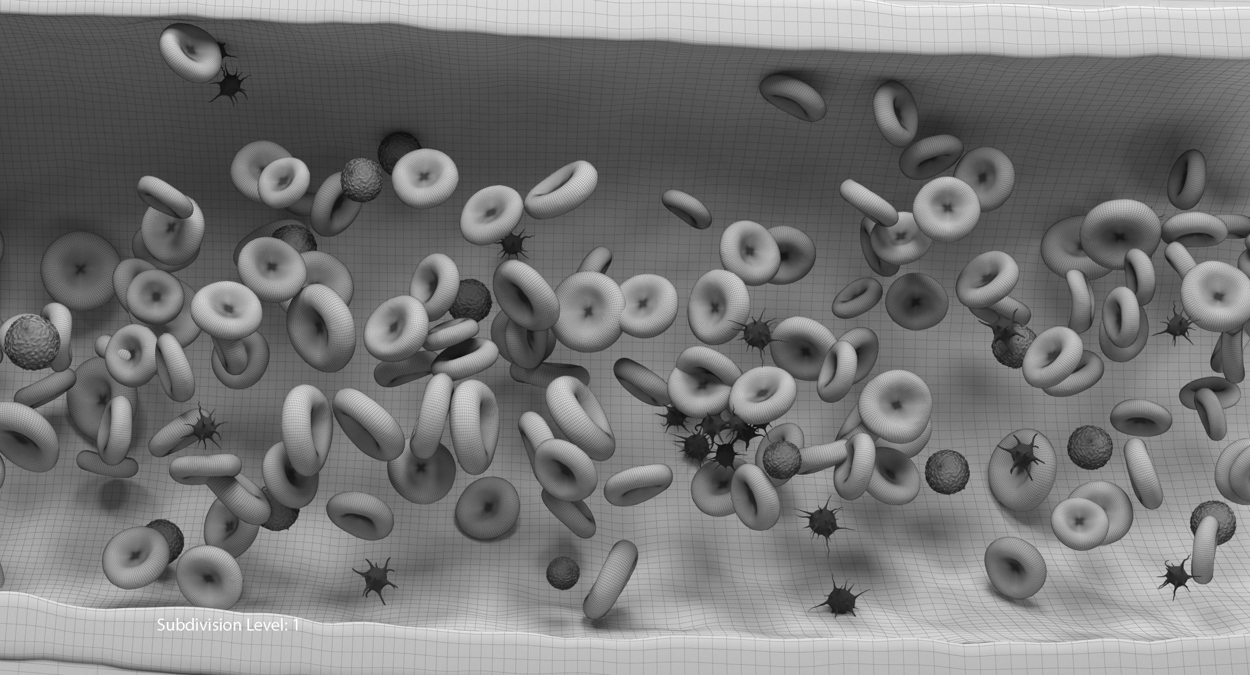 Blood flow Static Low-poly 3D model_28