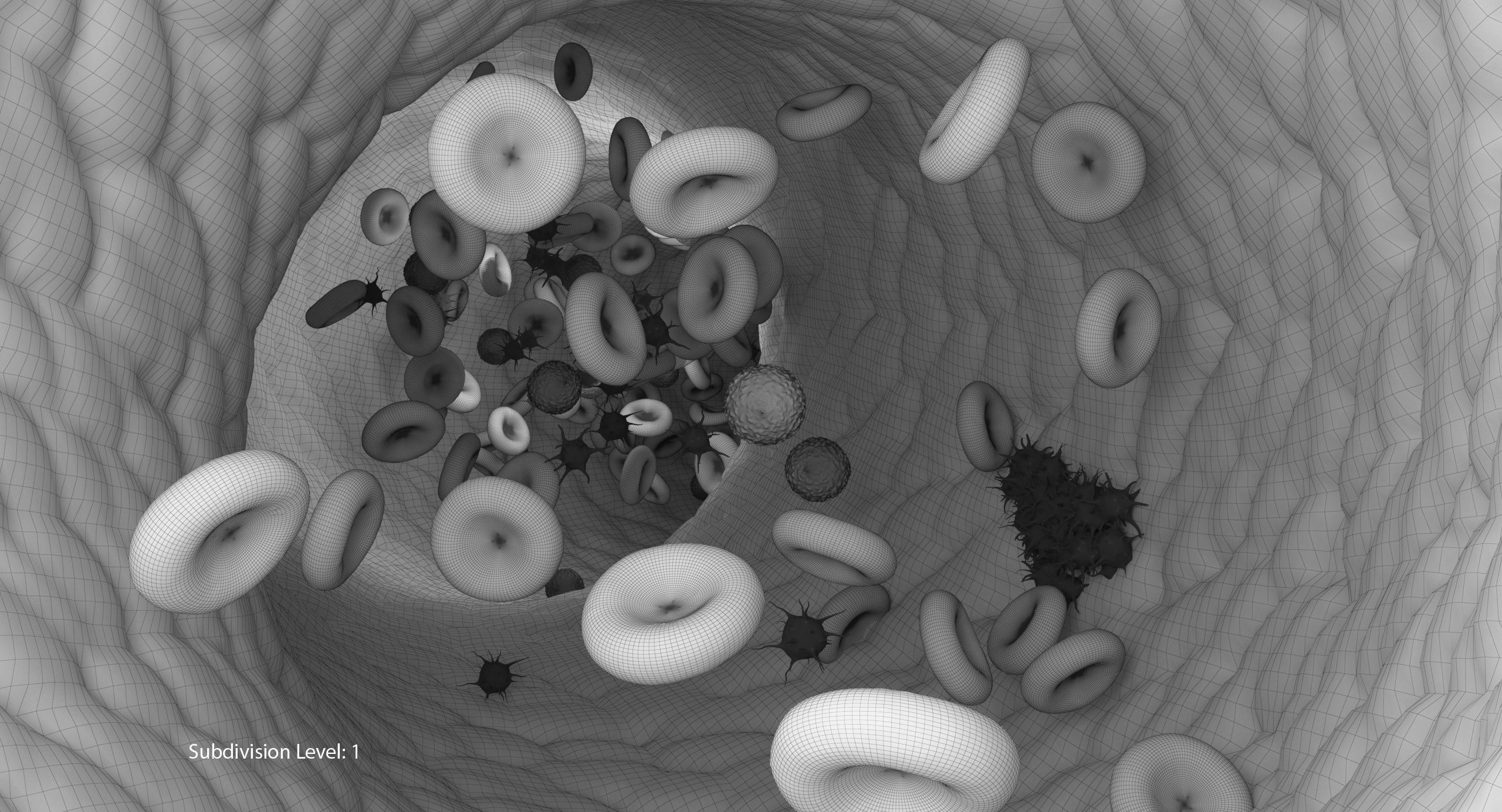 Blood flow Static Low-poly 3D model_26