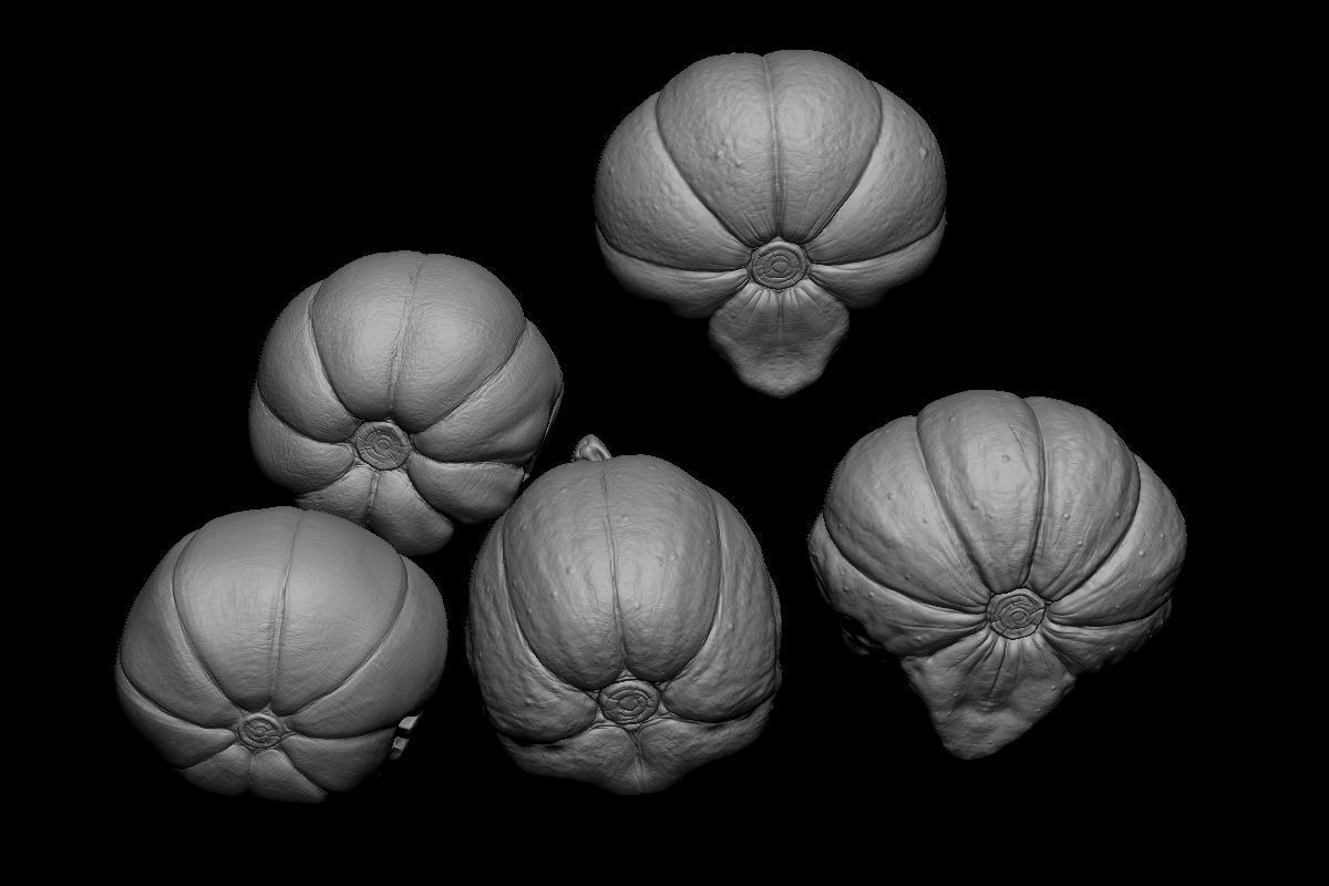 Pack Pumpkin Halloween STL Print 3D print model_3