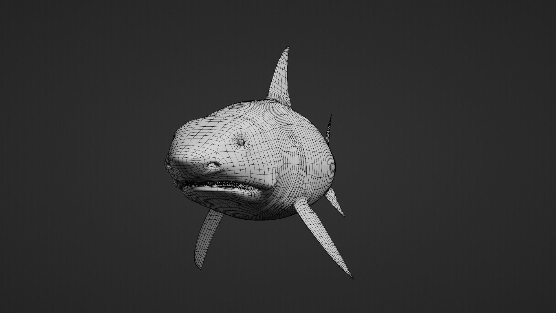 Shark Great-white shark 3D model_7