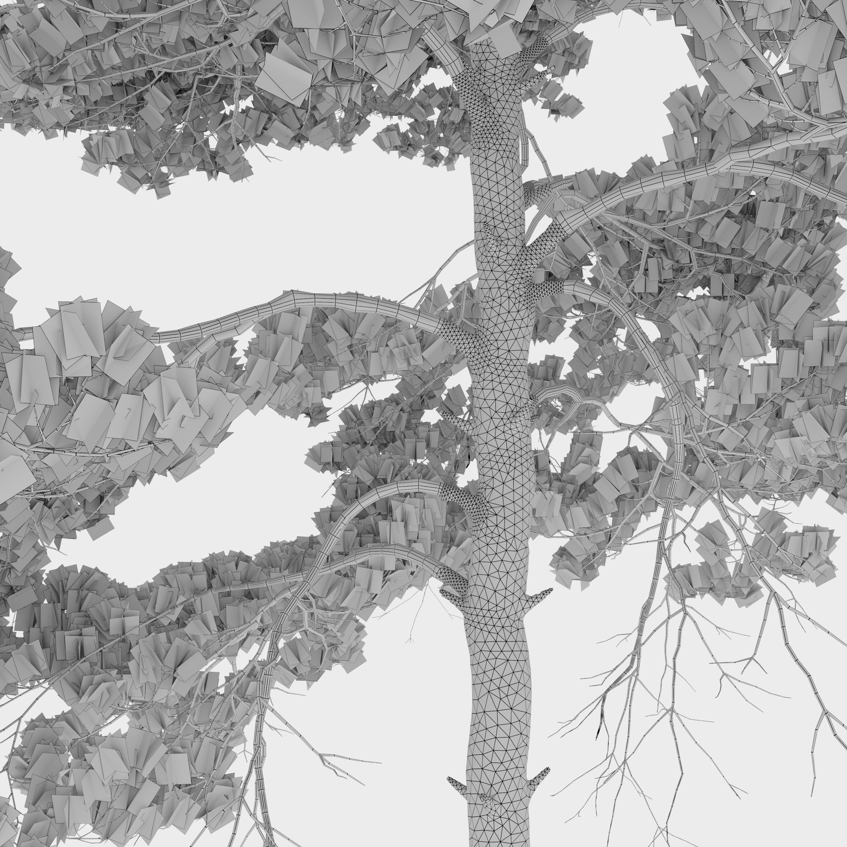 Pinus sylvestris 11 3D model_5