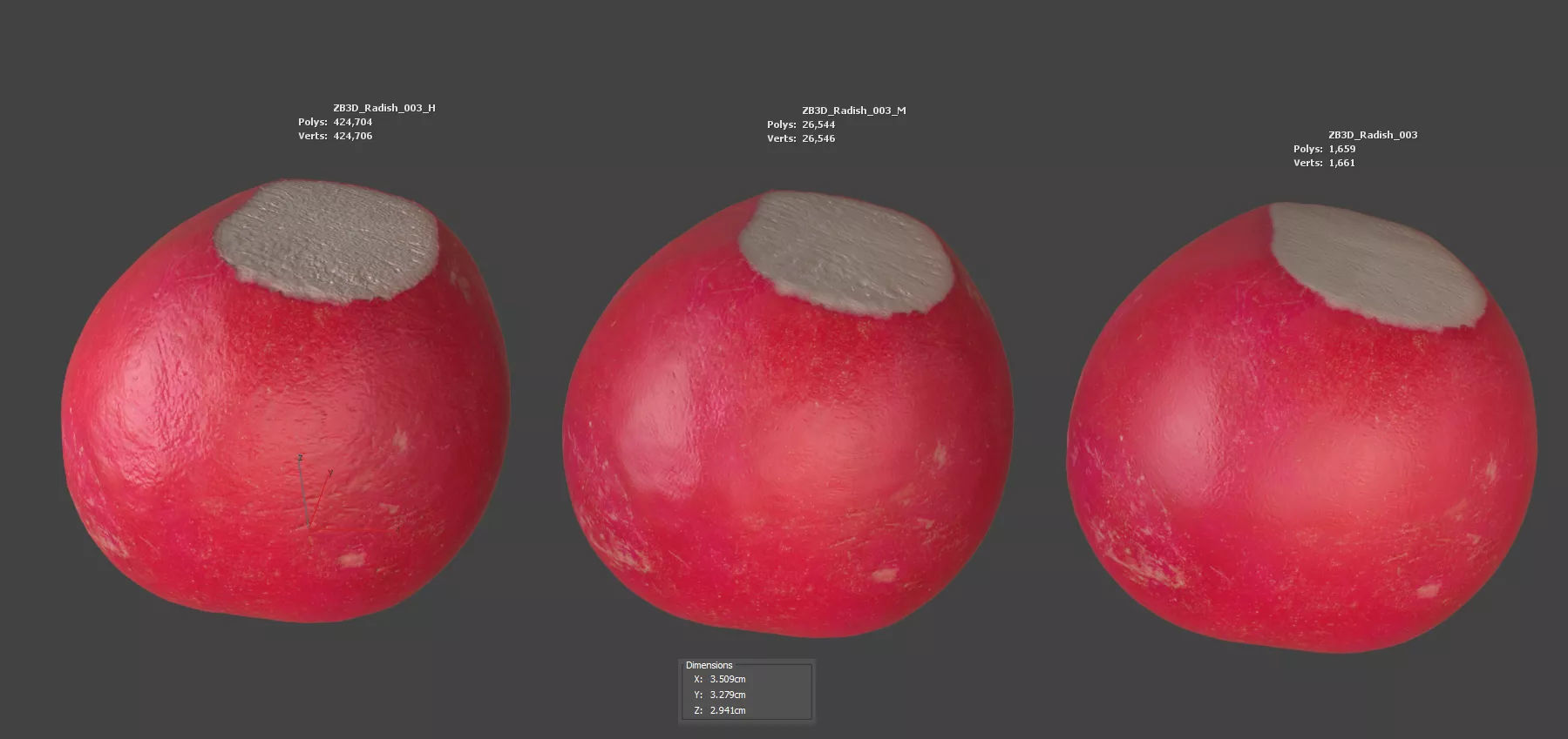 Radish 3D model_5