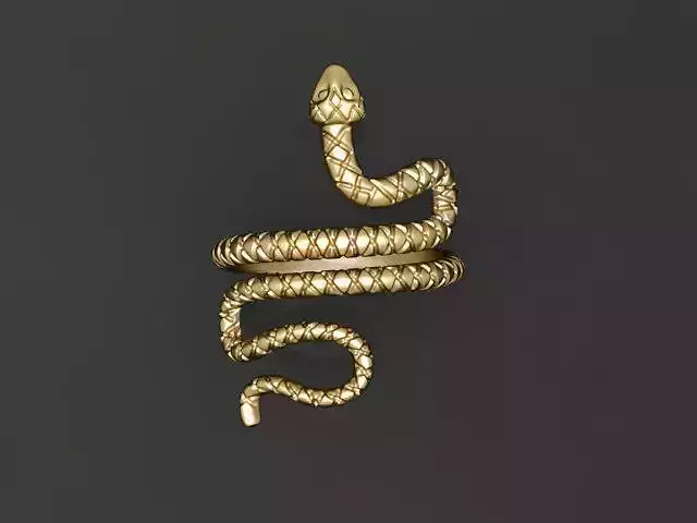 Snake ring 3D print model