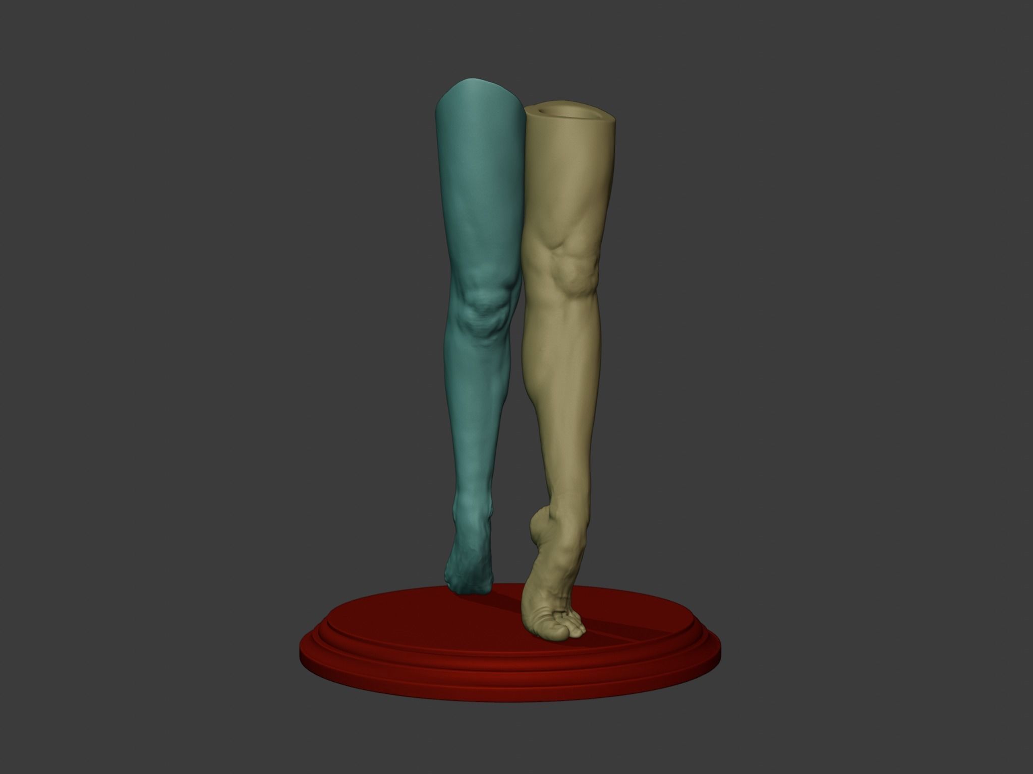 Pen Holder - human leg 3D print model_1