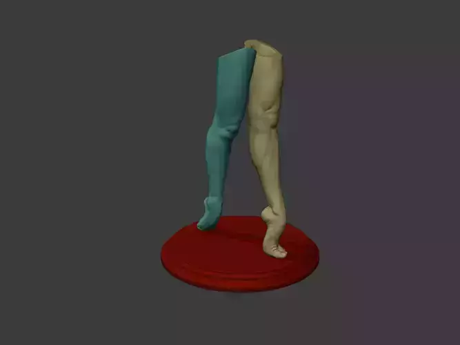Pen Holder - human leg