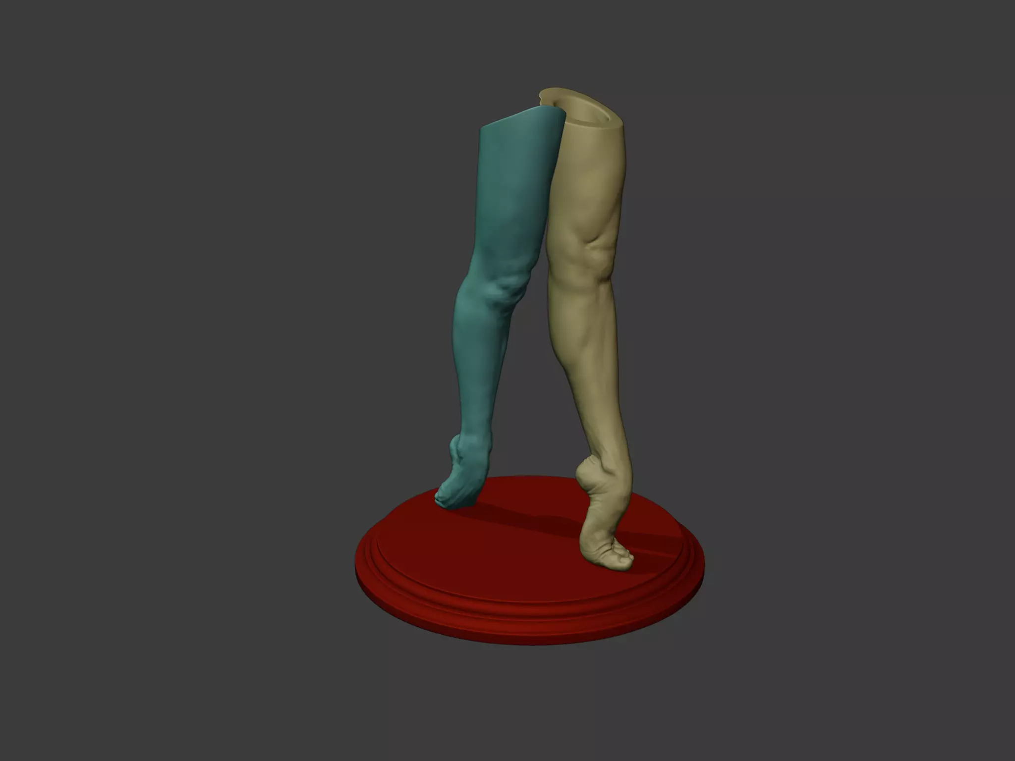 Pen Holder - human leg 3D print model_0