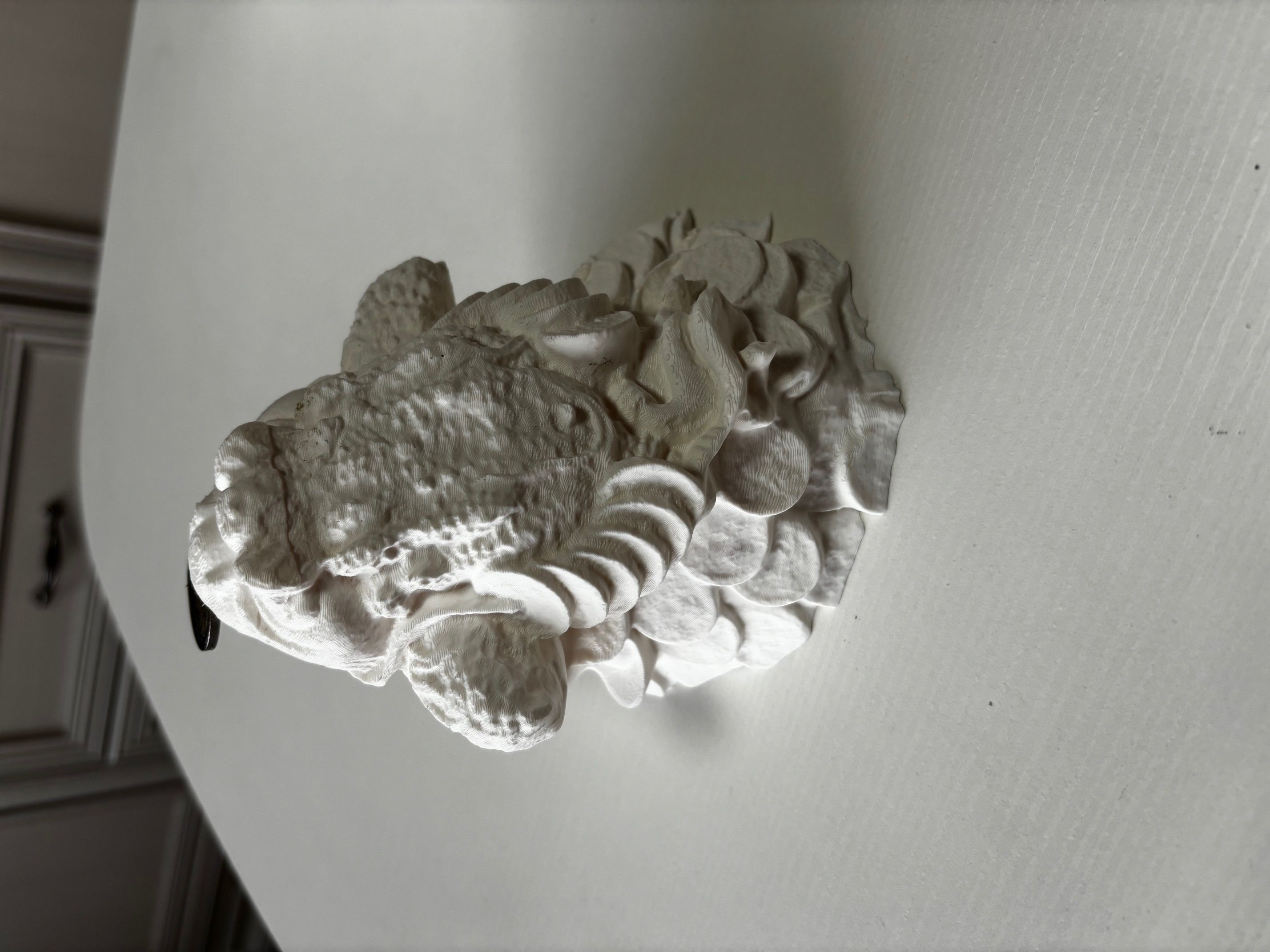 Money frog Jim Chan 3D print model_2