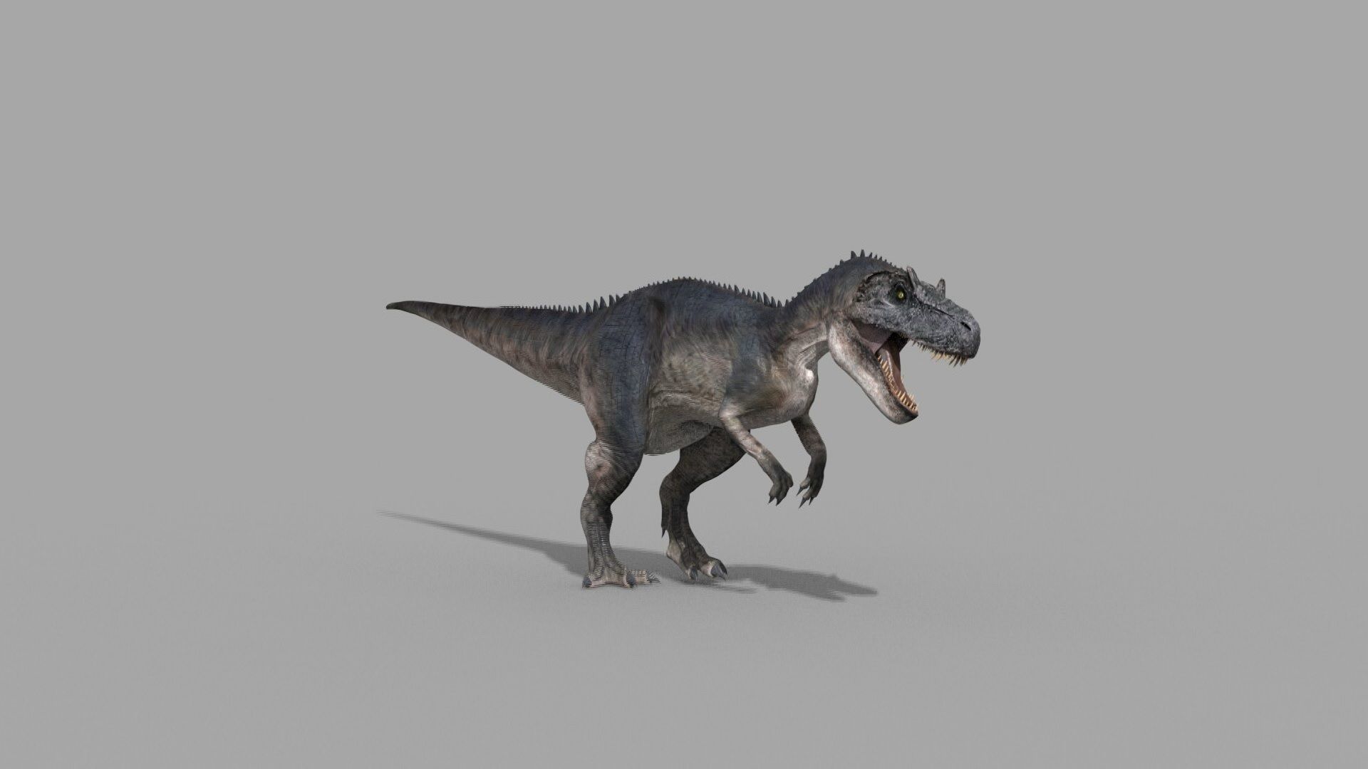 Real Animated Allosaurus - 8K 3D model_26
