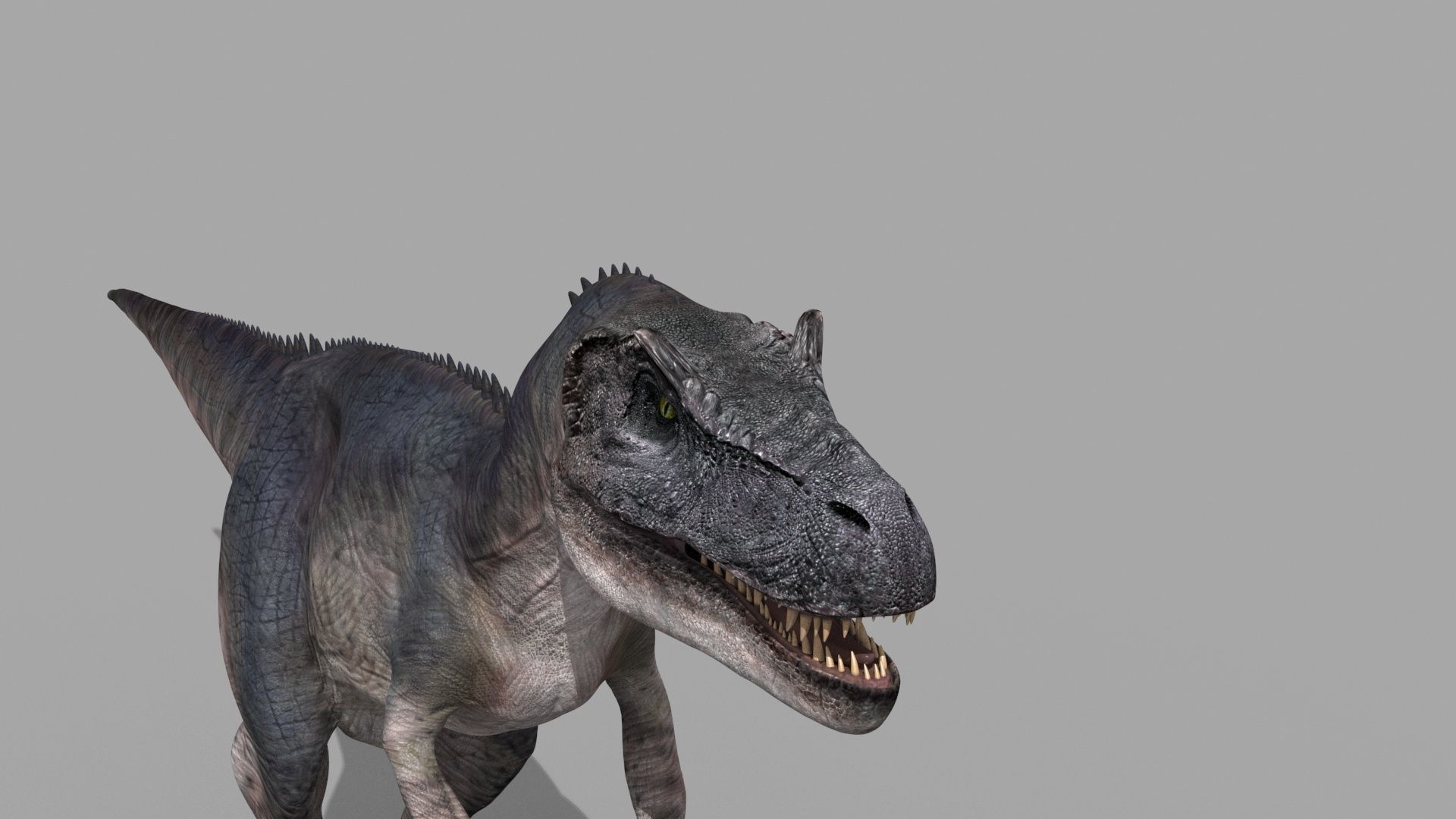 Real Animated Allosaurus - 8K 3D model_10
