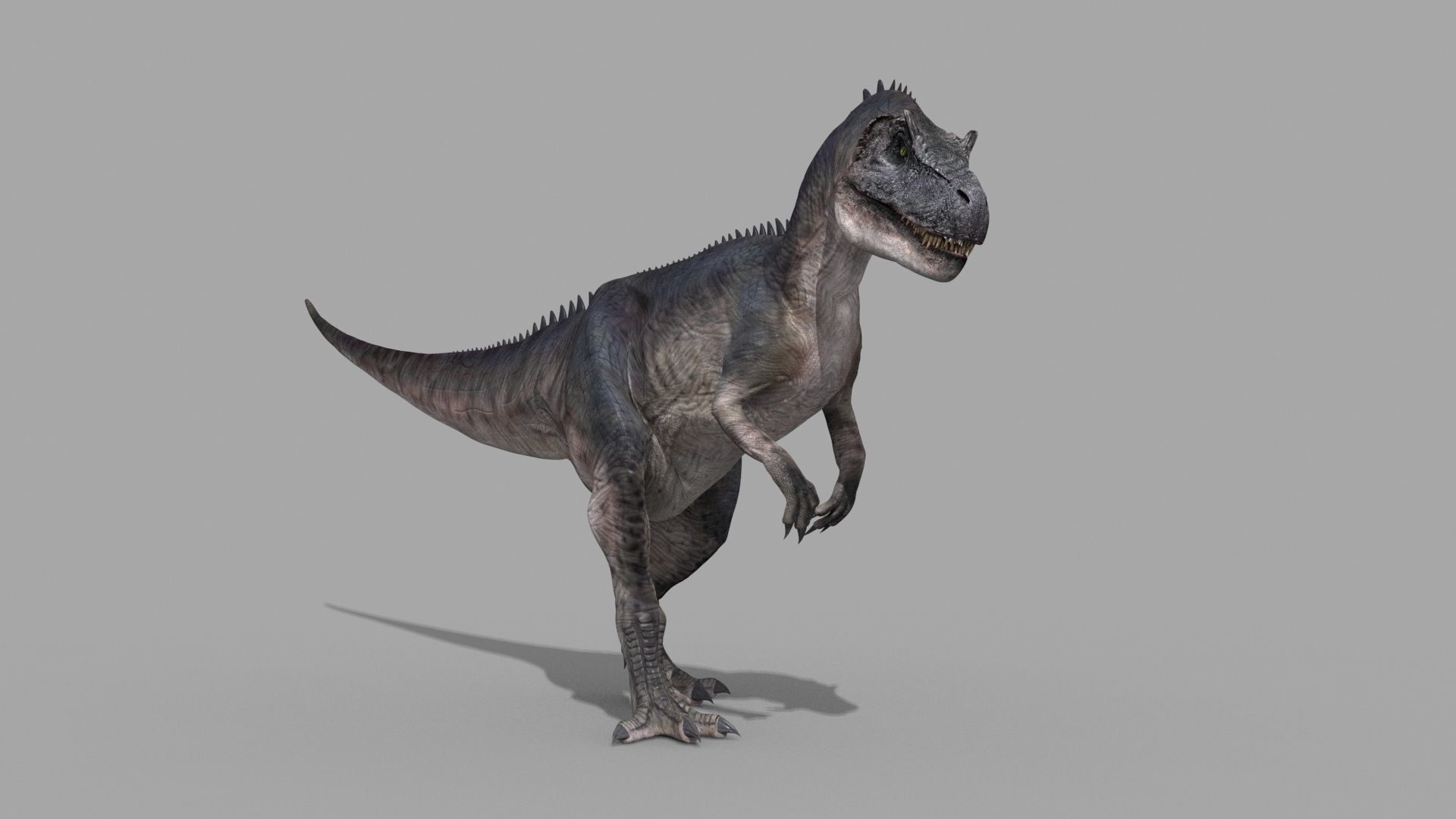 Real Animated Allosaurus - 8K 3D model_17