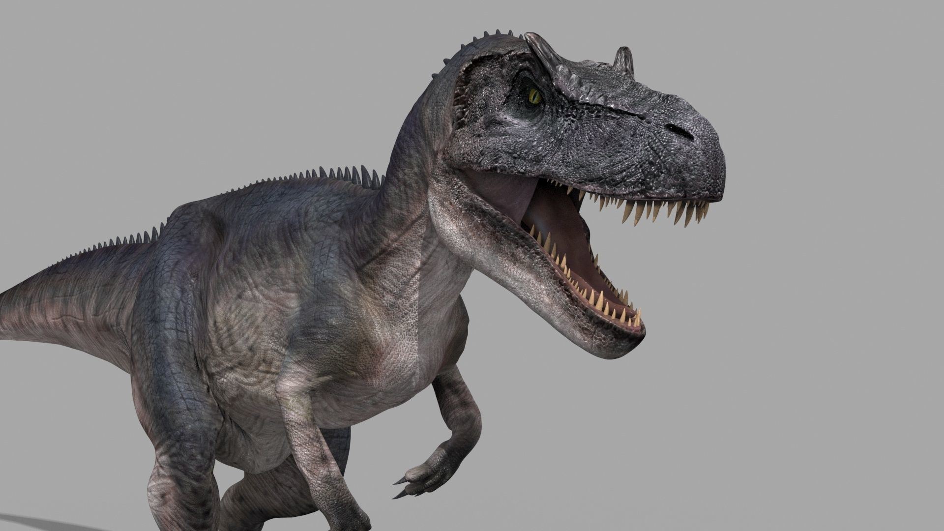 Real Animated Allosaurus - 8K 3D model_19