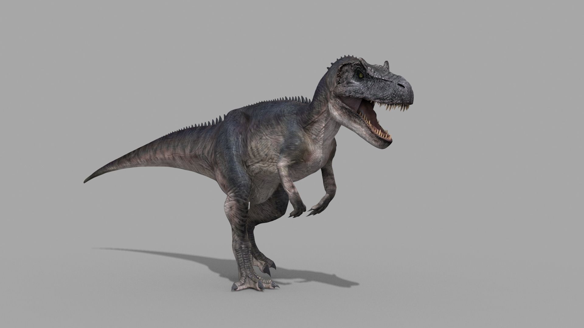Real Animated Allosaurus - 8K 3D model_18