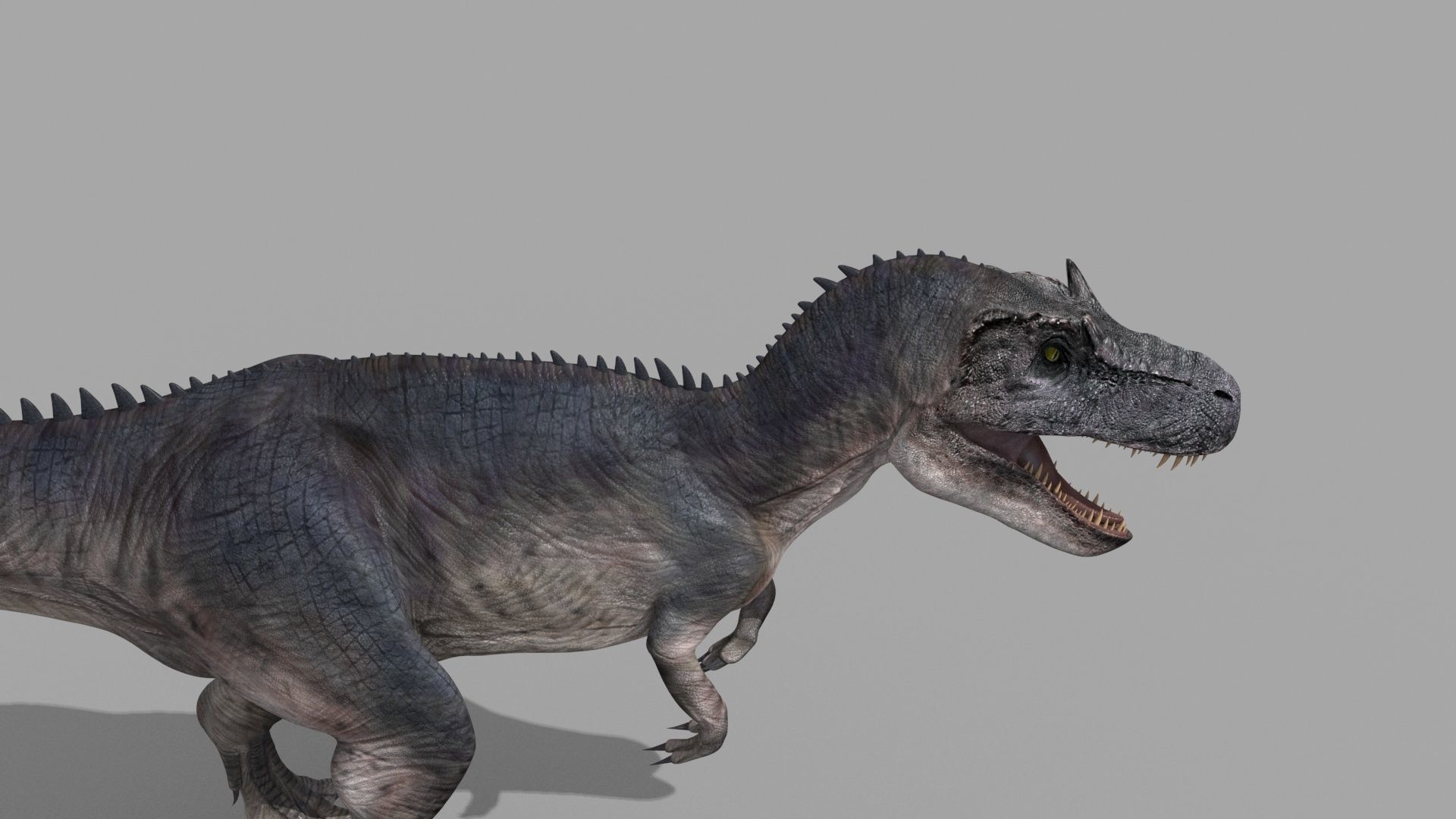 Real Animated Allosaurus - 8K 3D model_8