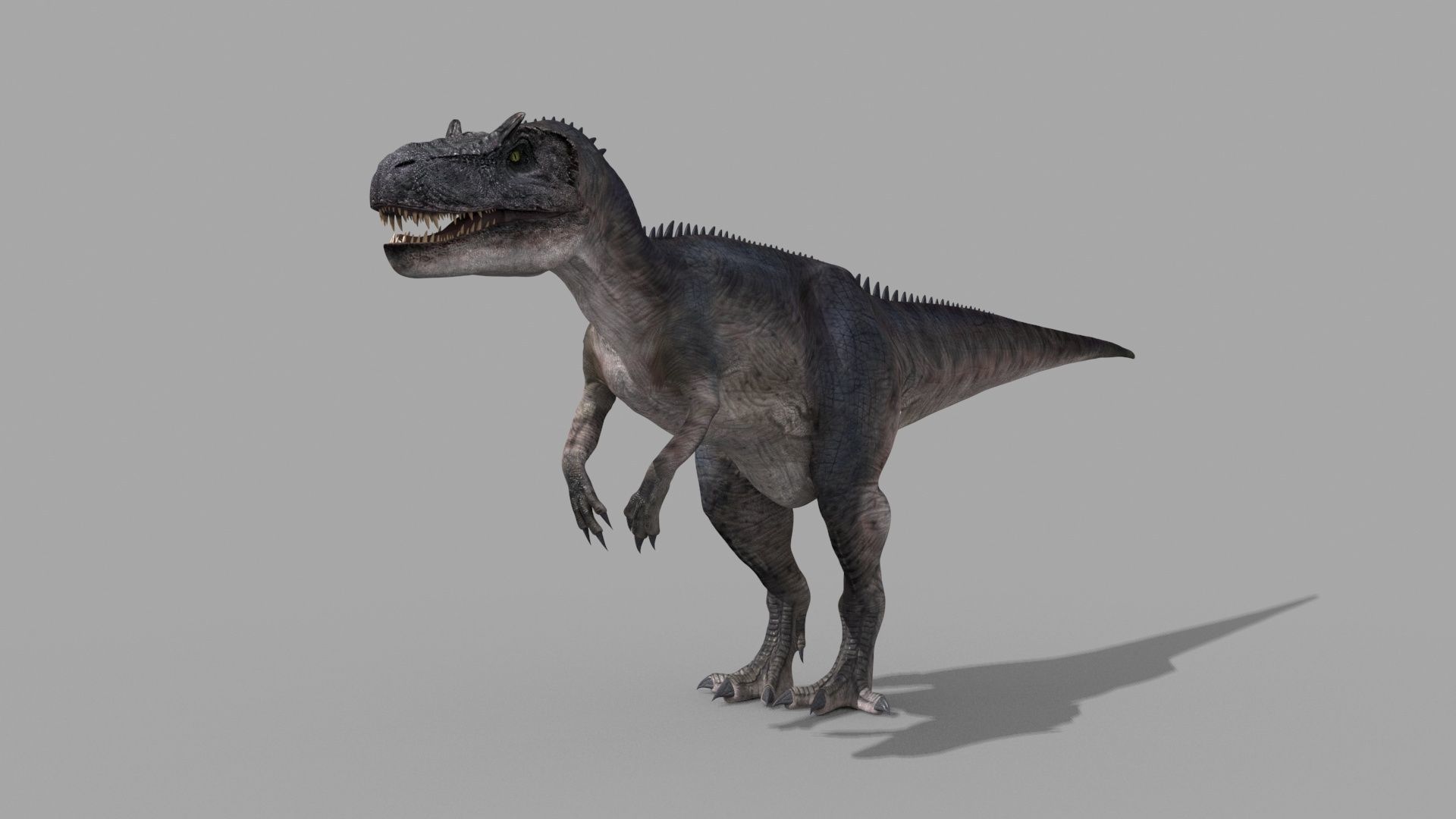 Real Animated Allosaurus - 8K 3D model_9