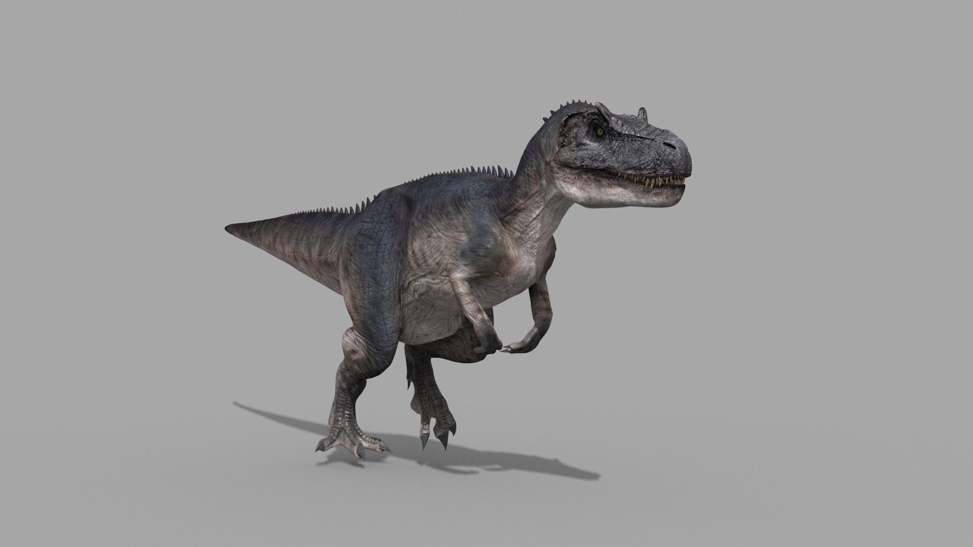 Real Animated Allosaurus - 8K 3D model_16