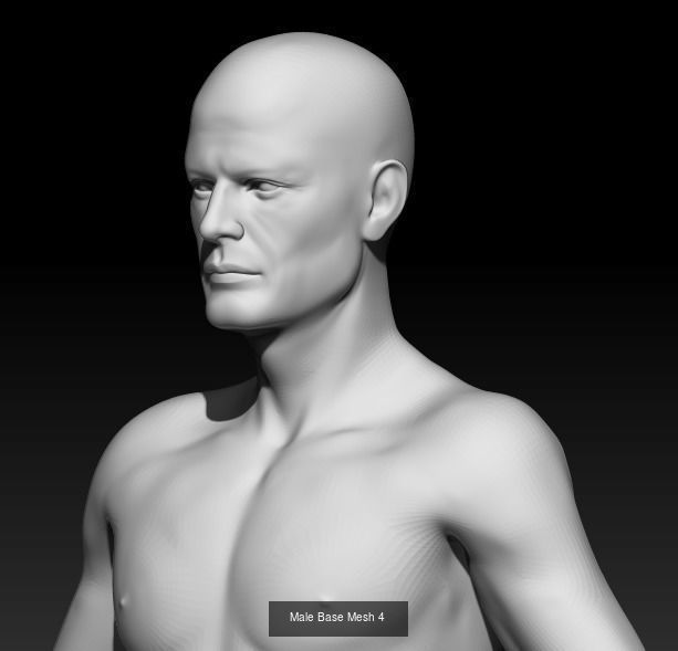 Male Base Mesh 3D Model Collection_4