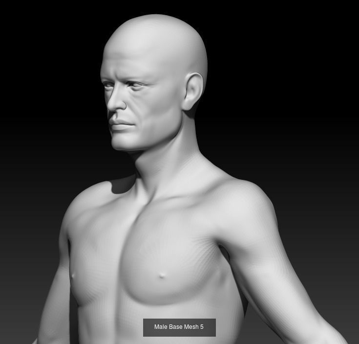 Male Base Mesh 3D Model Collection_5