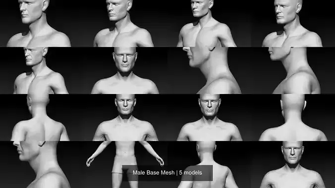 Male Base Mesh 3D Model Collection