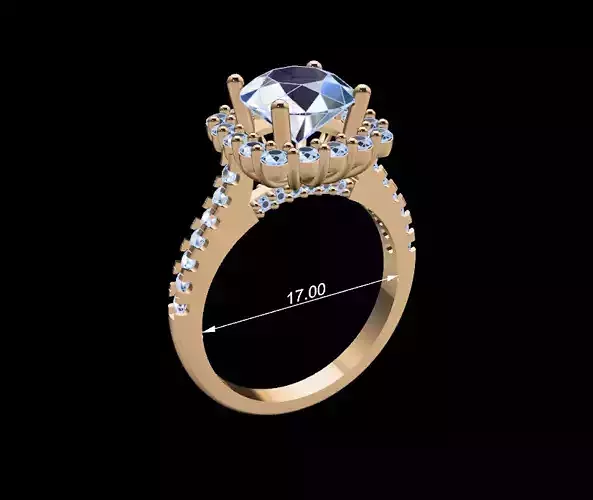 Women Ring 101 3D print model