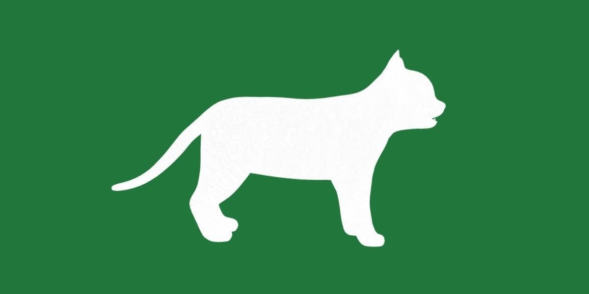 Bengal Kitten Cat Low-poly 3D model_25