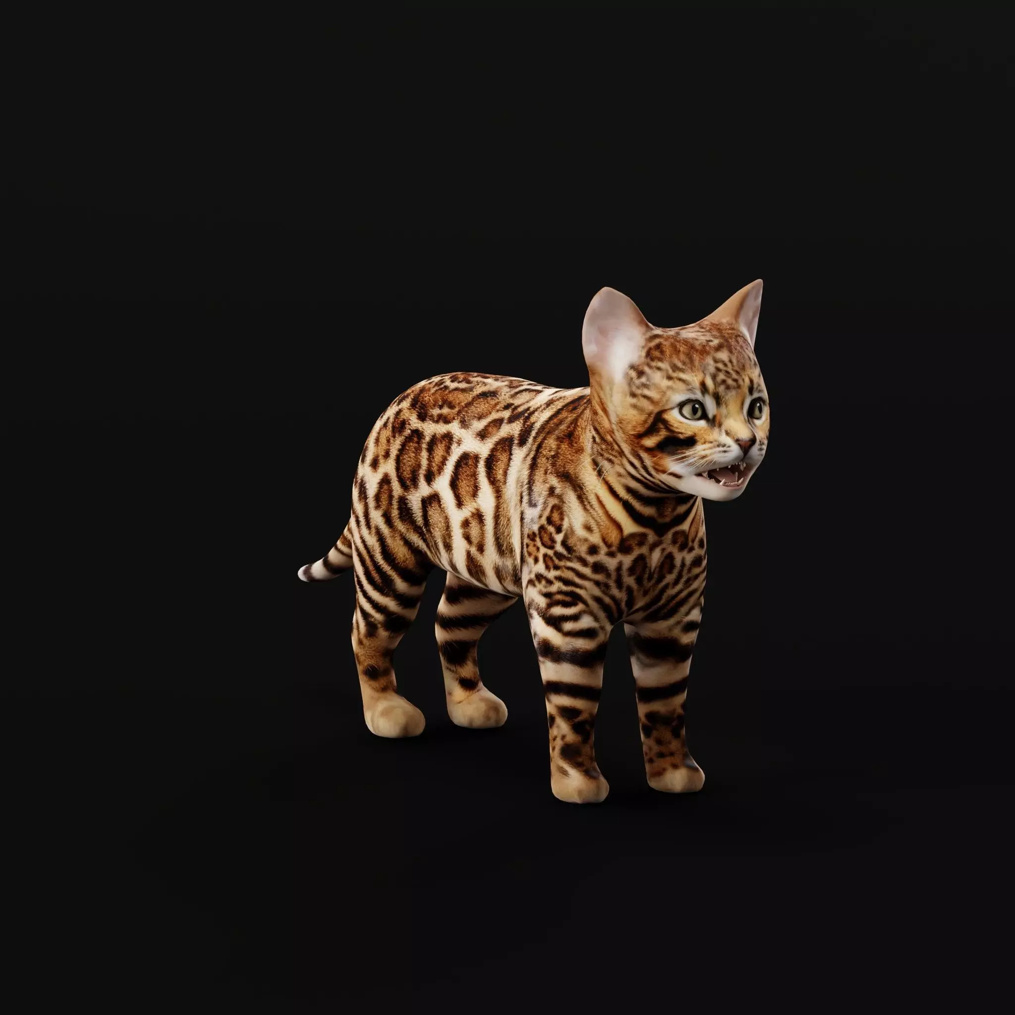 Bengal Kitten Cat Low-poly 3D model_0